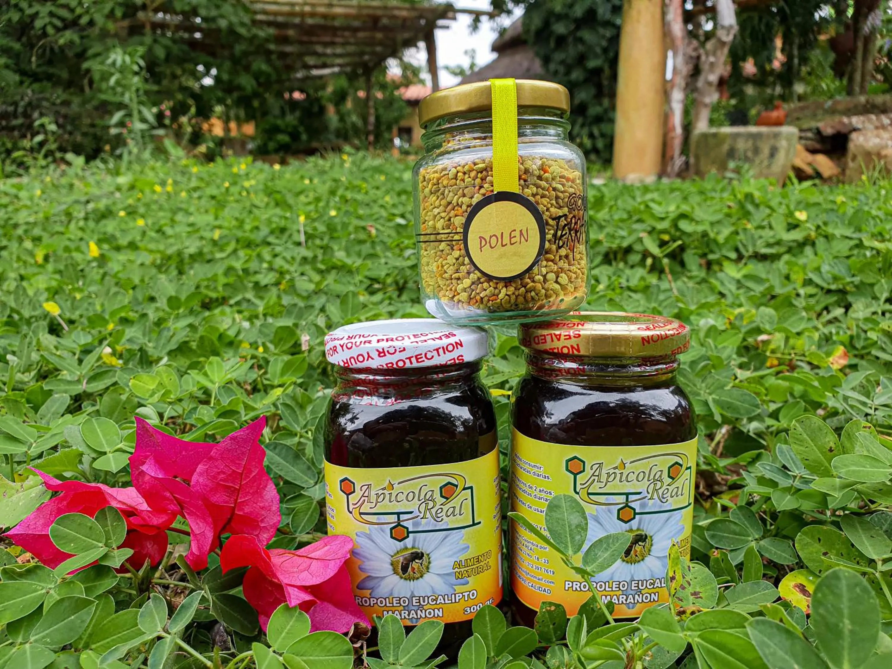 Other in Hotel Terra Barichara