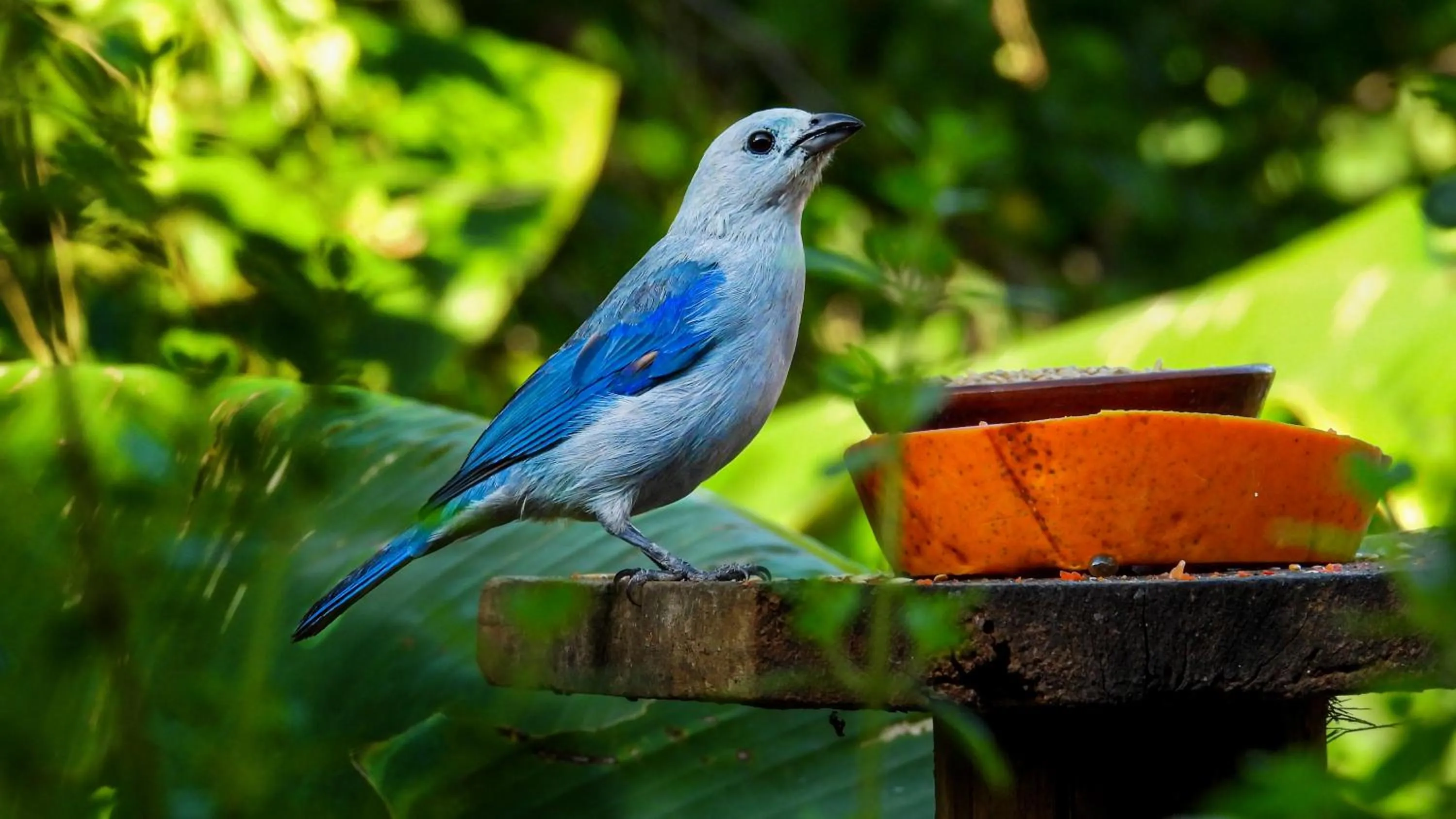 Natural landscape in Hotel Terra Barichara