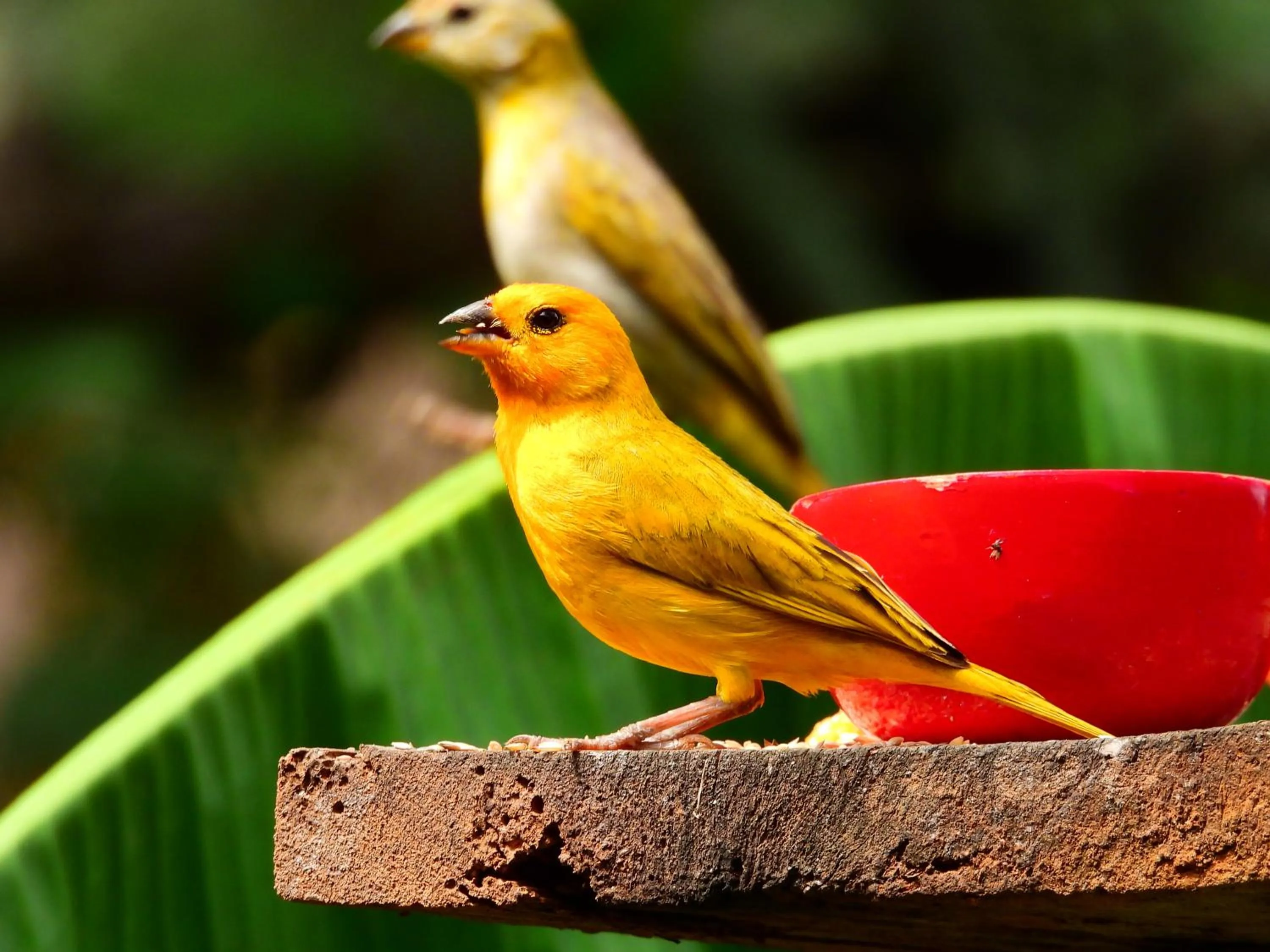 Natural landscape in Hotel Terra Barichara