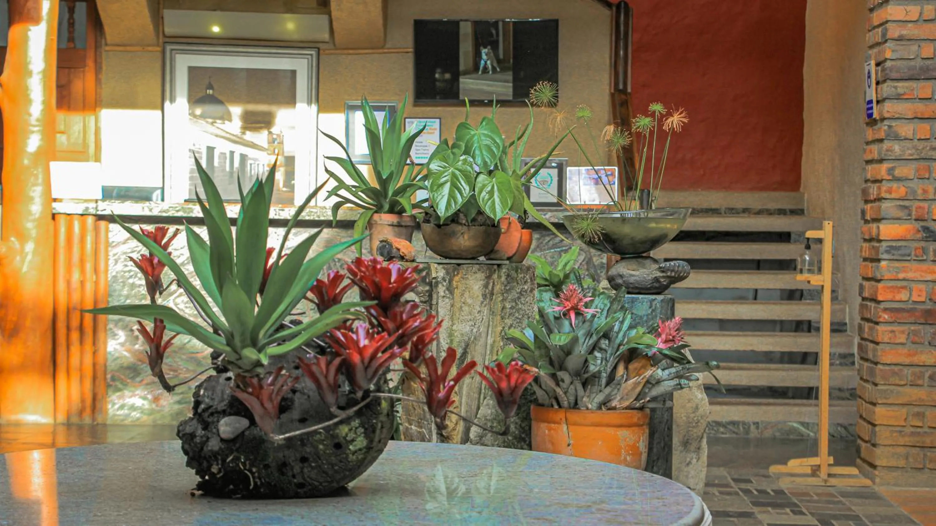 Natural landscape in Hotel Terra Barichara