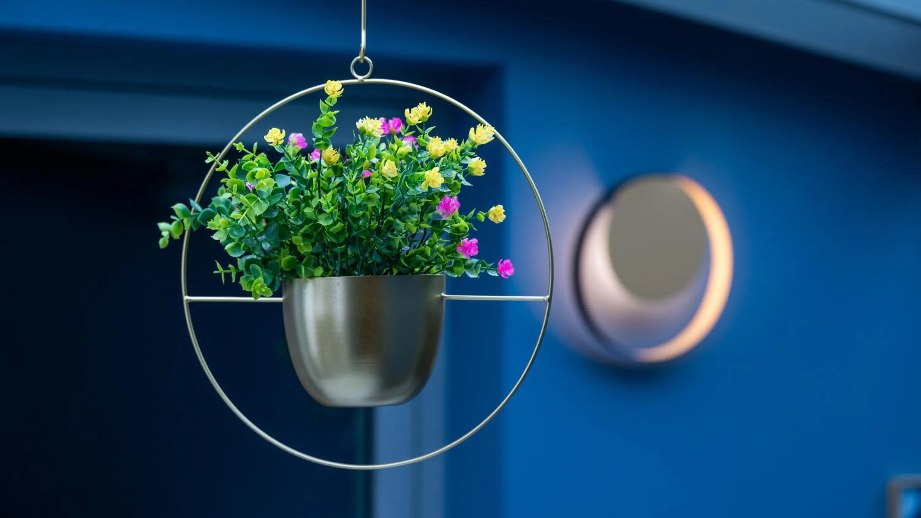 Property building in Hotel Metropol