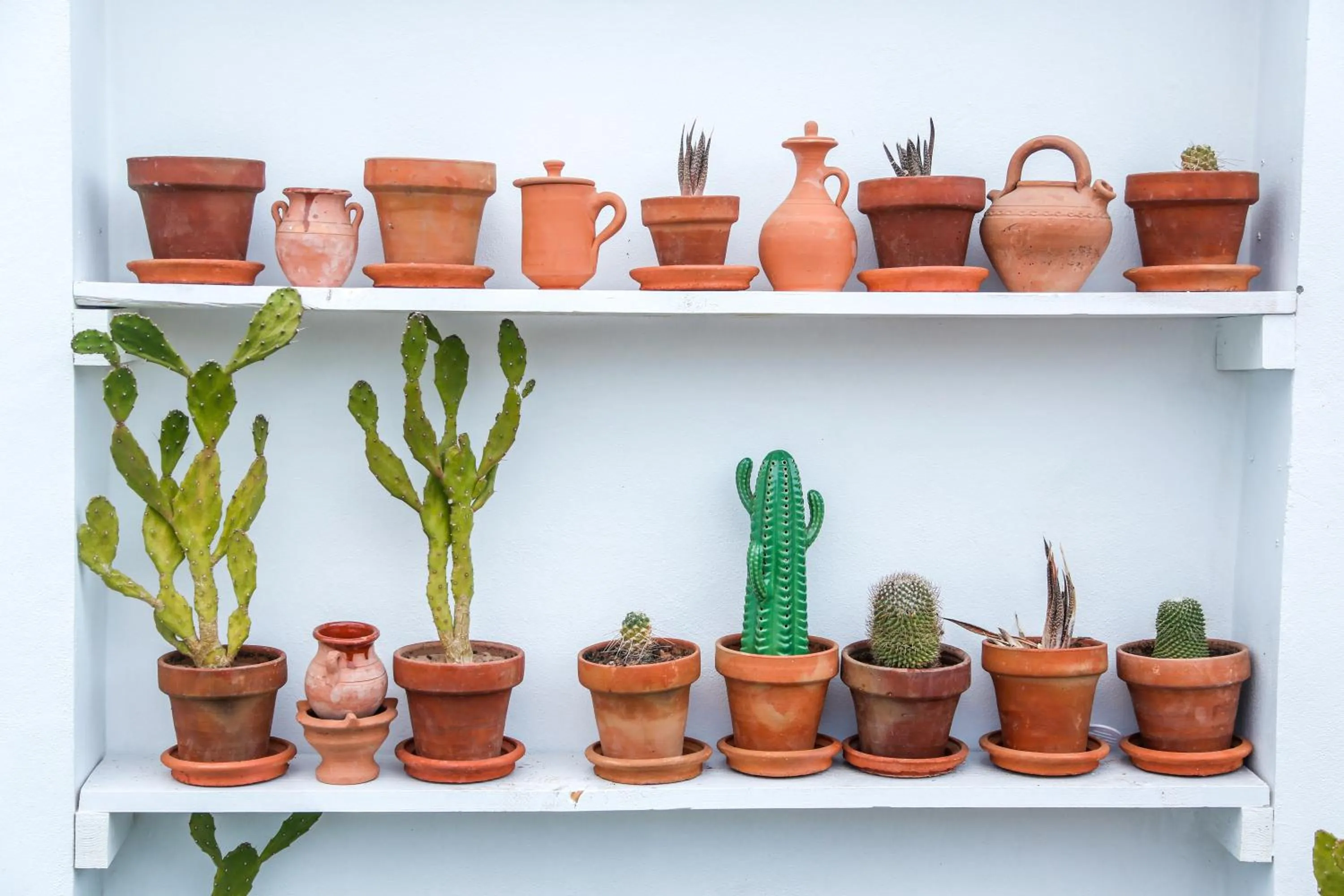 Decorative detail in Riad Dada Mouss & Suites