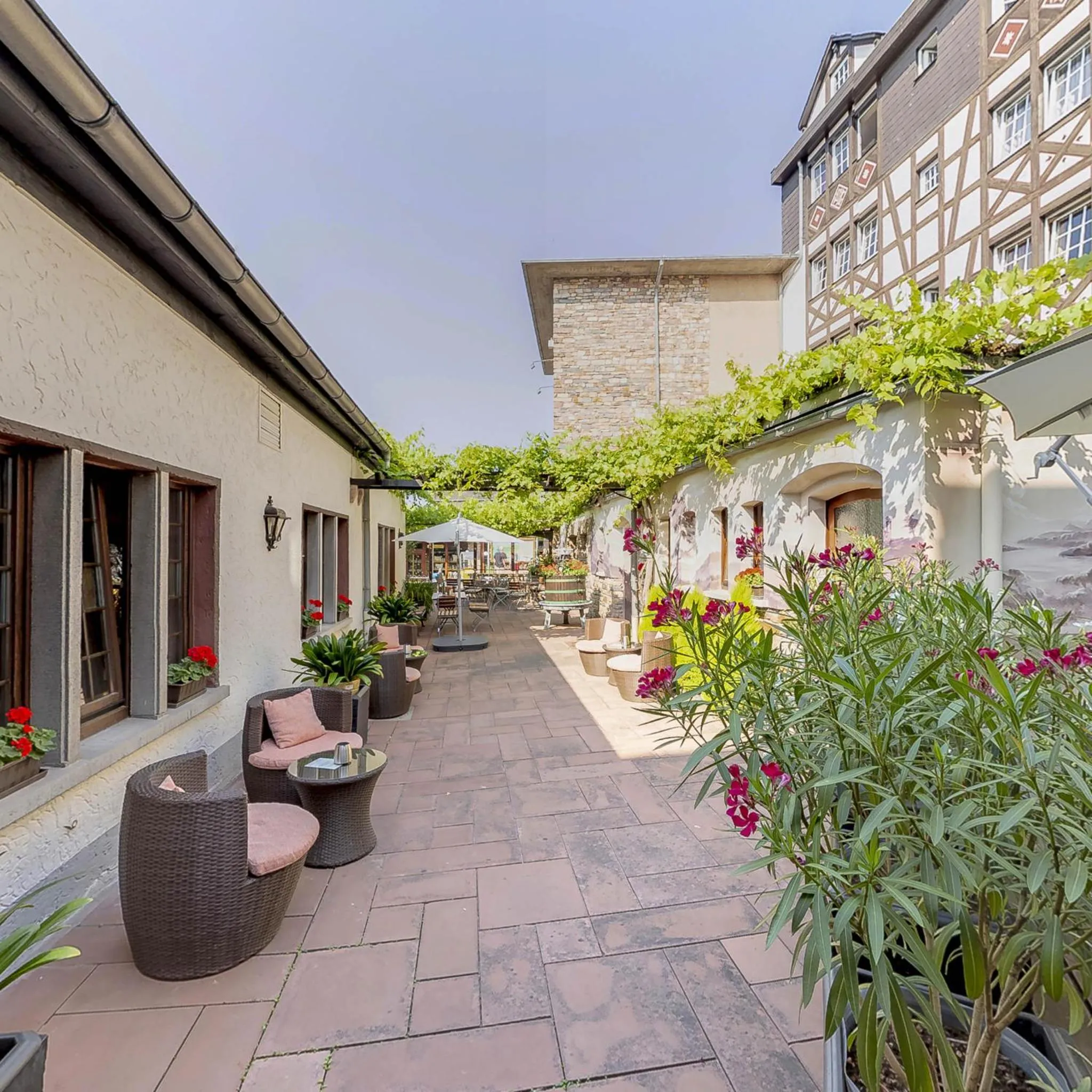 Garden in Hotel Felsenkeller