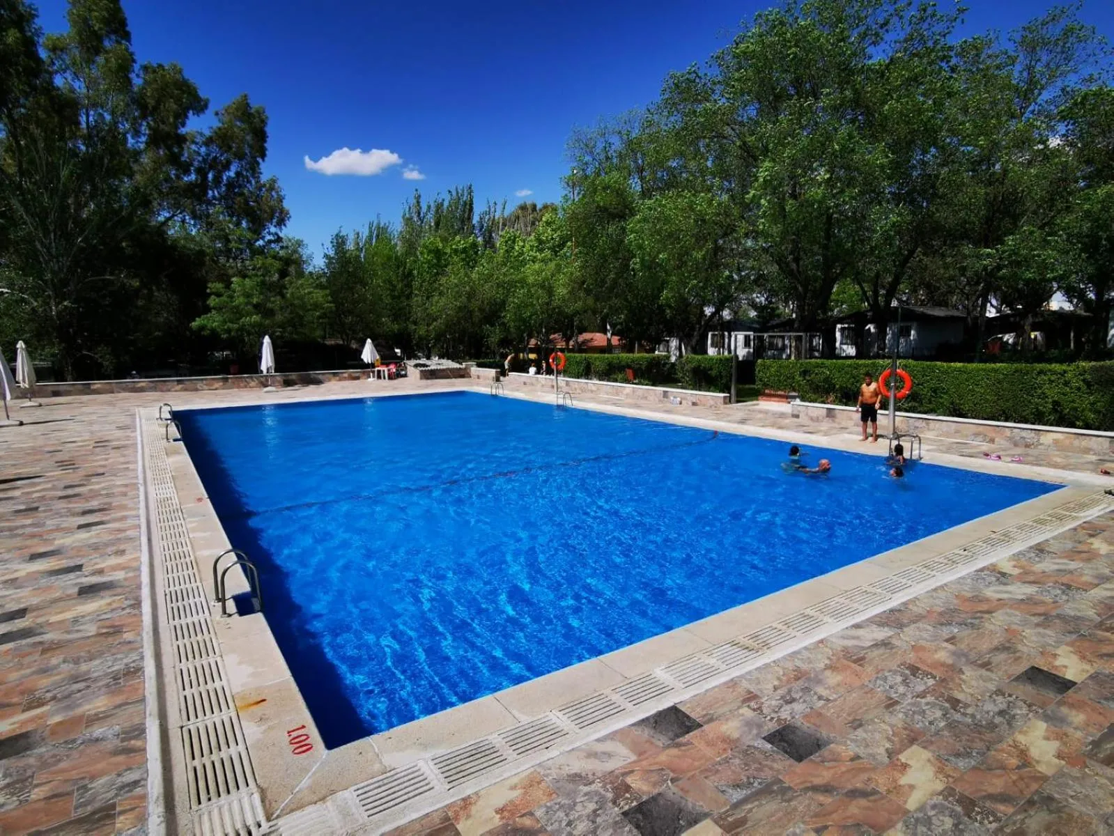 Swimming pool in Bungalows Alpha