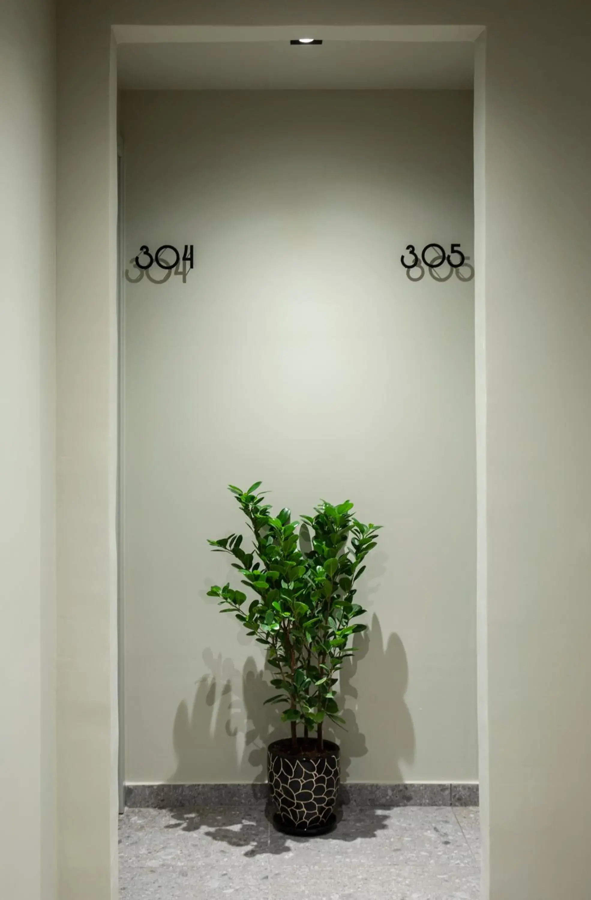 Area and facilities in PAME Paradiso Area and facilities in PAME Paradiso