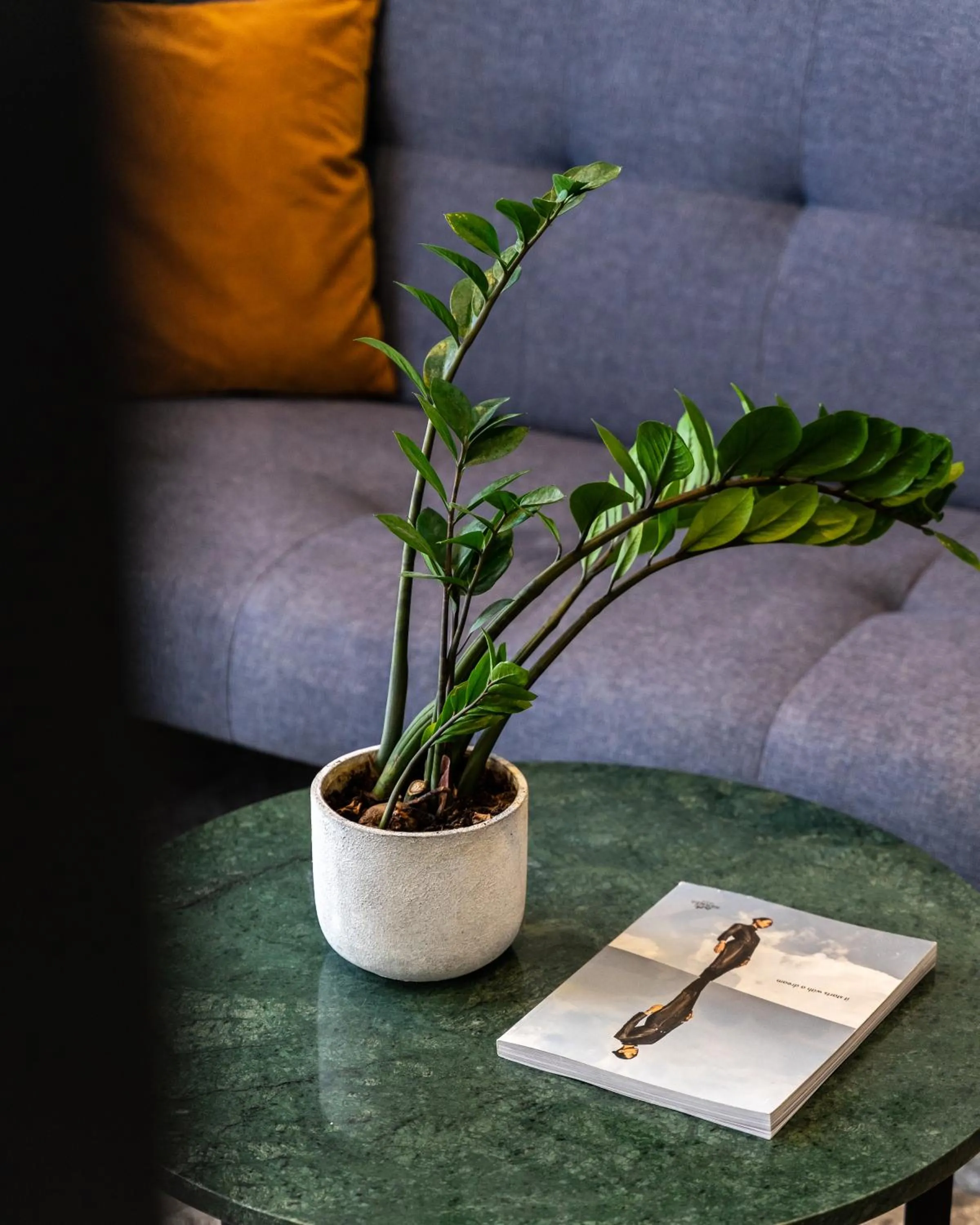 Decorative detail in PAME Paradiso