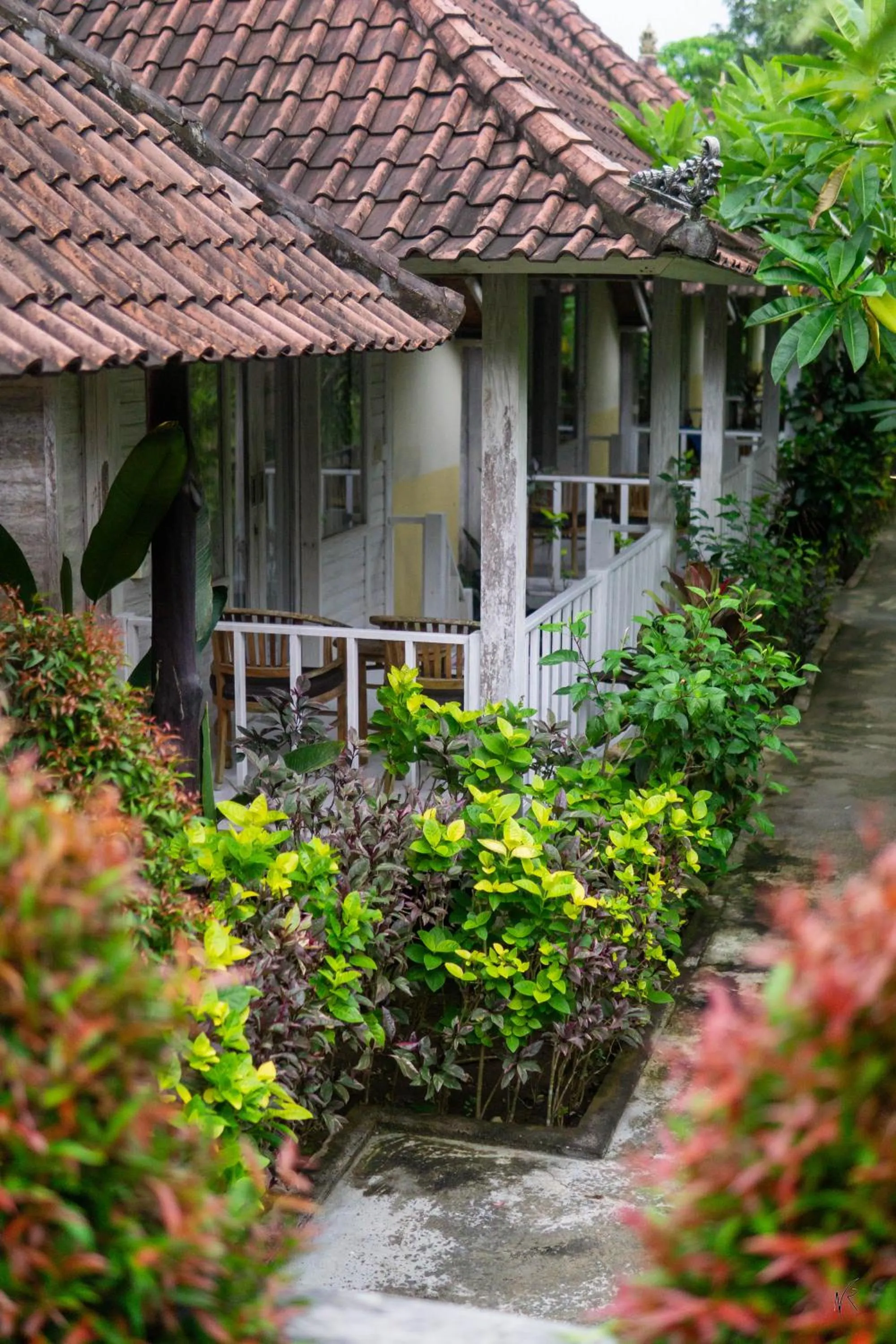 Property building in The Lucky Cottage