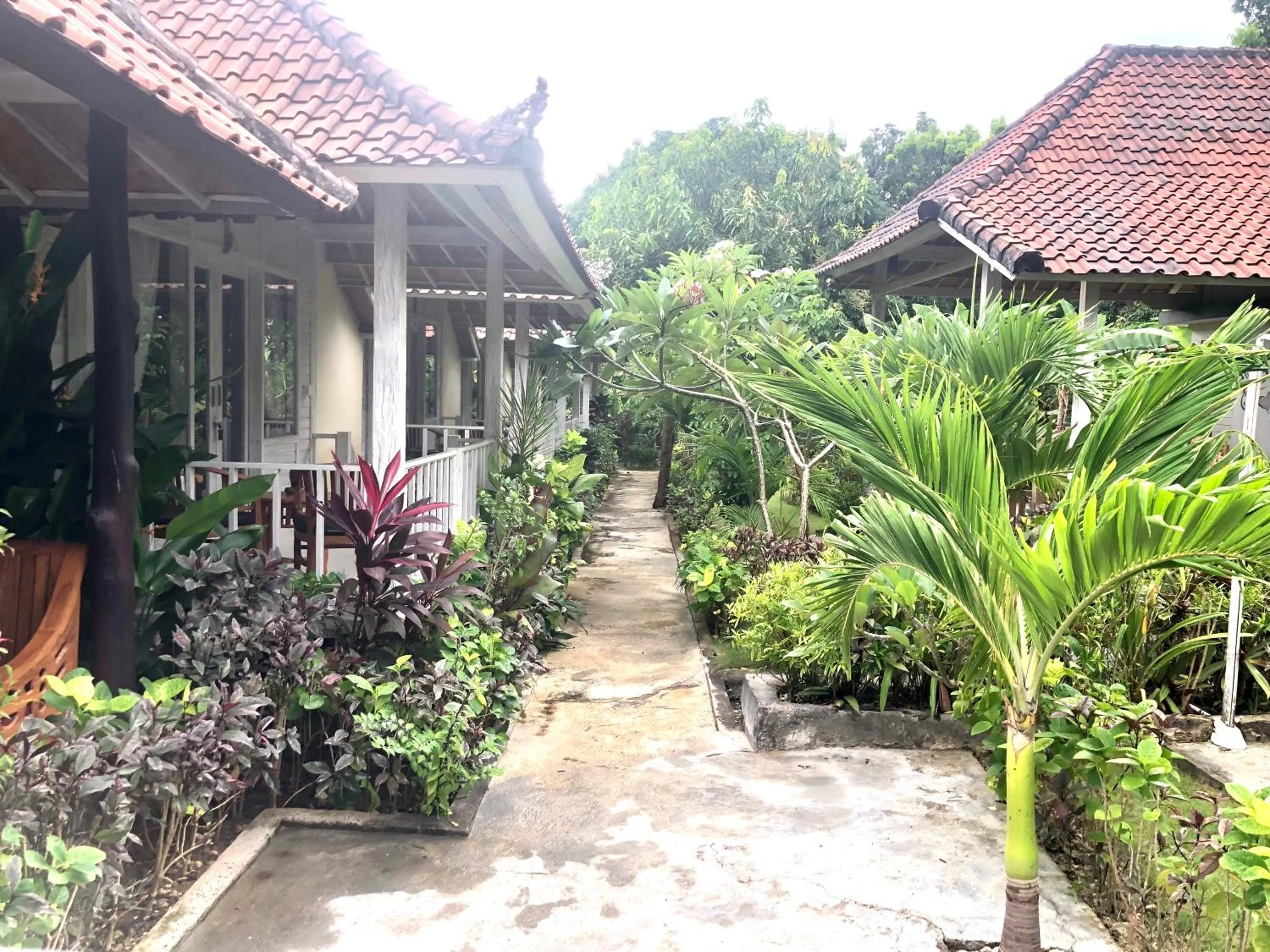 Garden in The Lucky Cottage