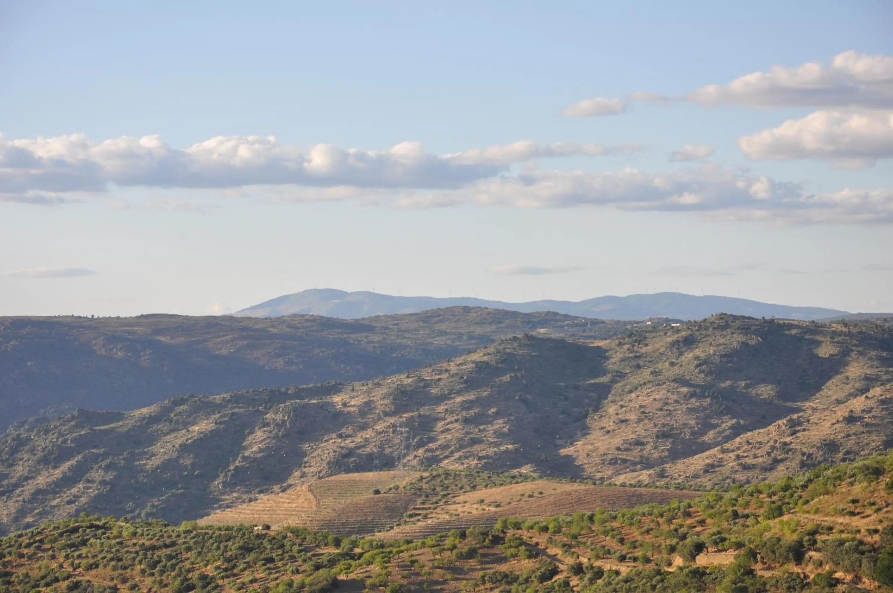 Area and facilities in Casa Dona Maria Luiza