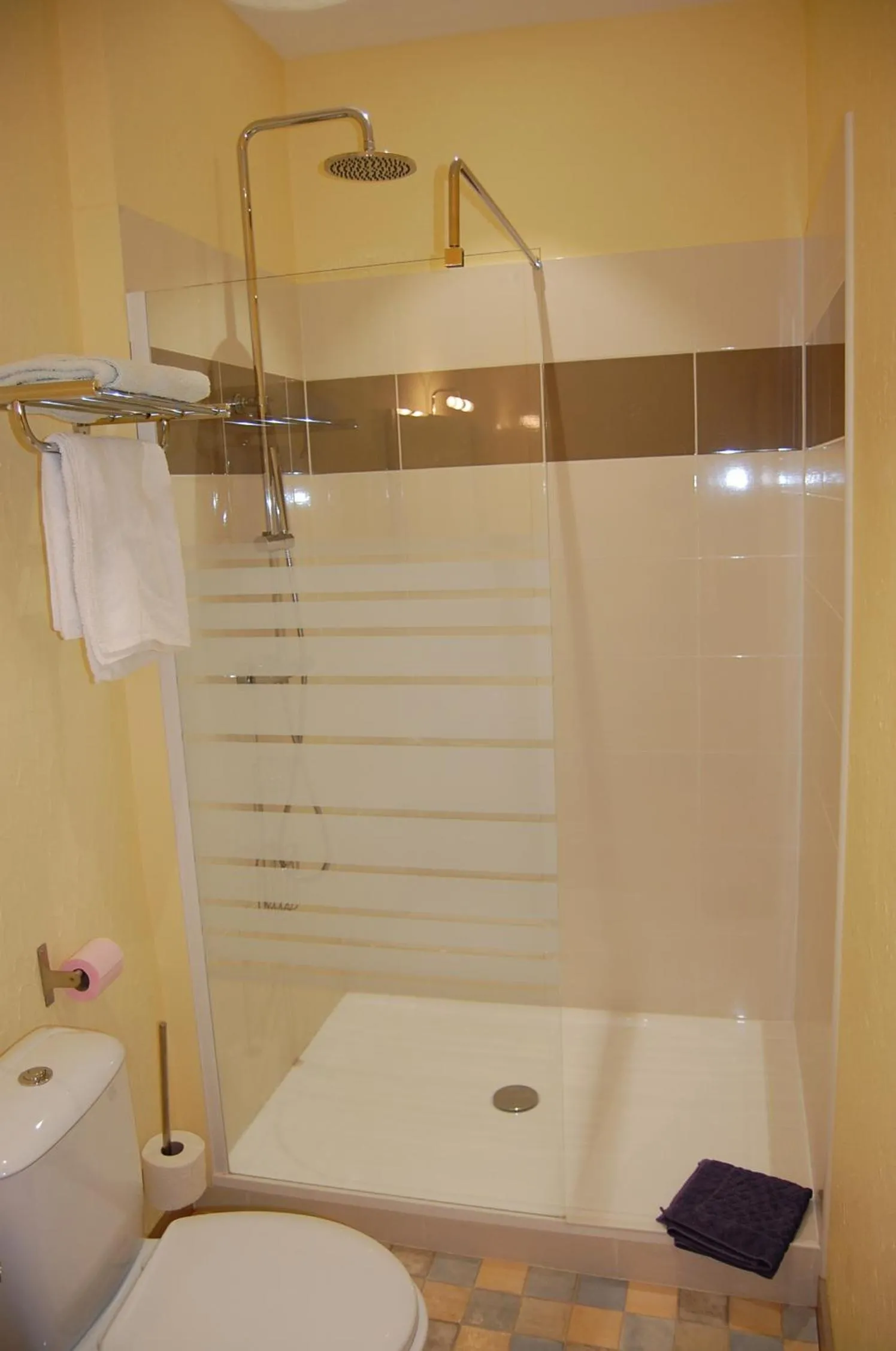 Shower in La Ferme de Laupilière