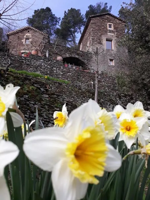 Le mas des sources cevenol Le chambon