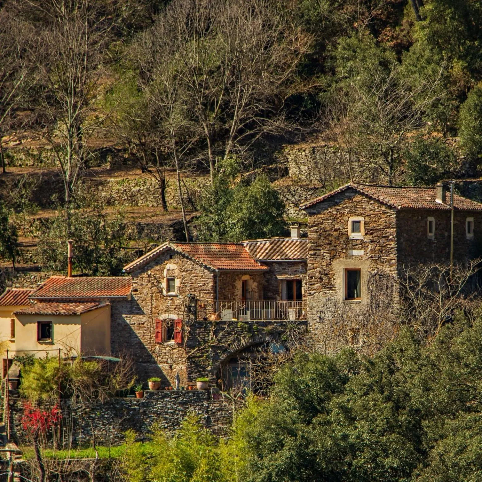 Le mas des sources cevenol Le chambon