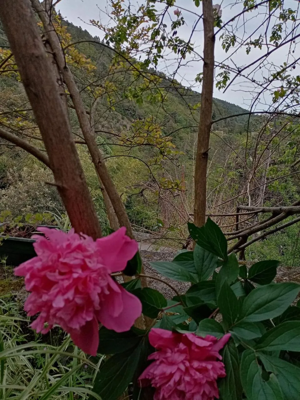 Le mas des sources cevenol Le chambon