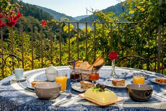 Le mas des sources cevenol Le chambon