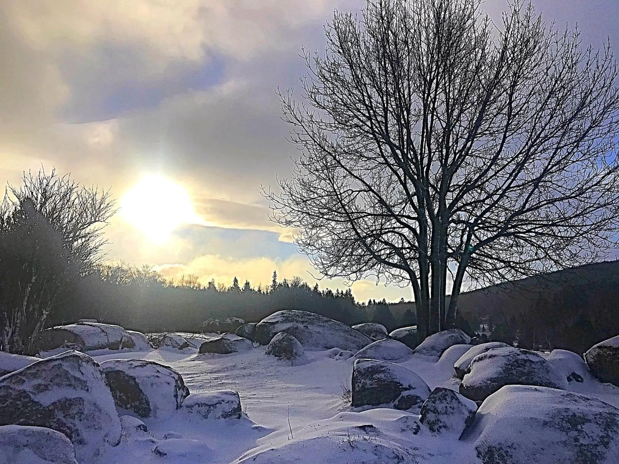 Le mas des sources cevenol Le chambon