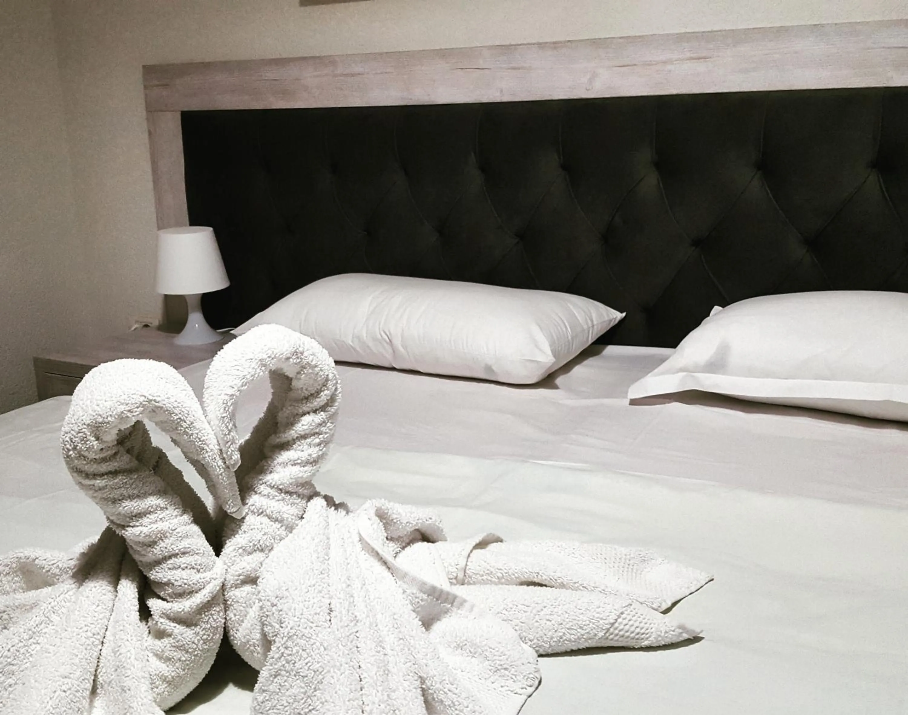 Photo of the whole room, Bed in Hotel Livia