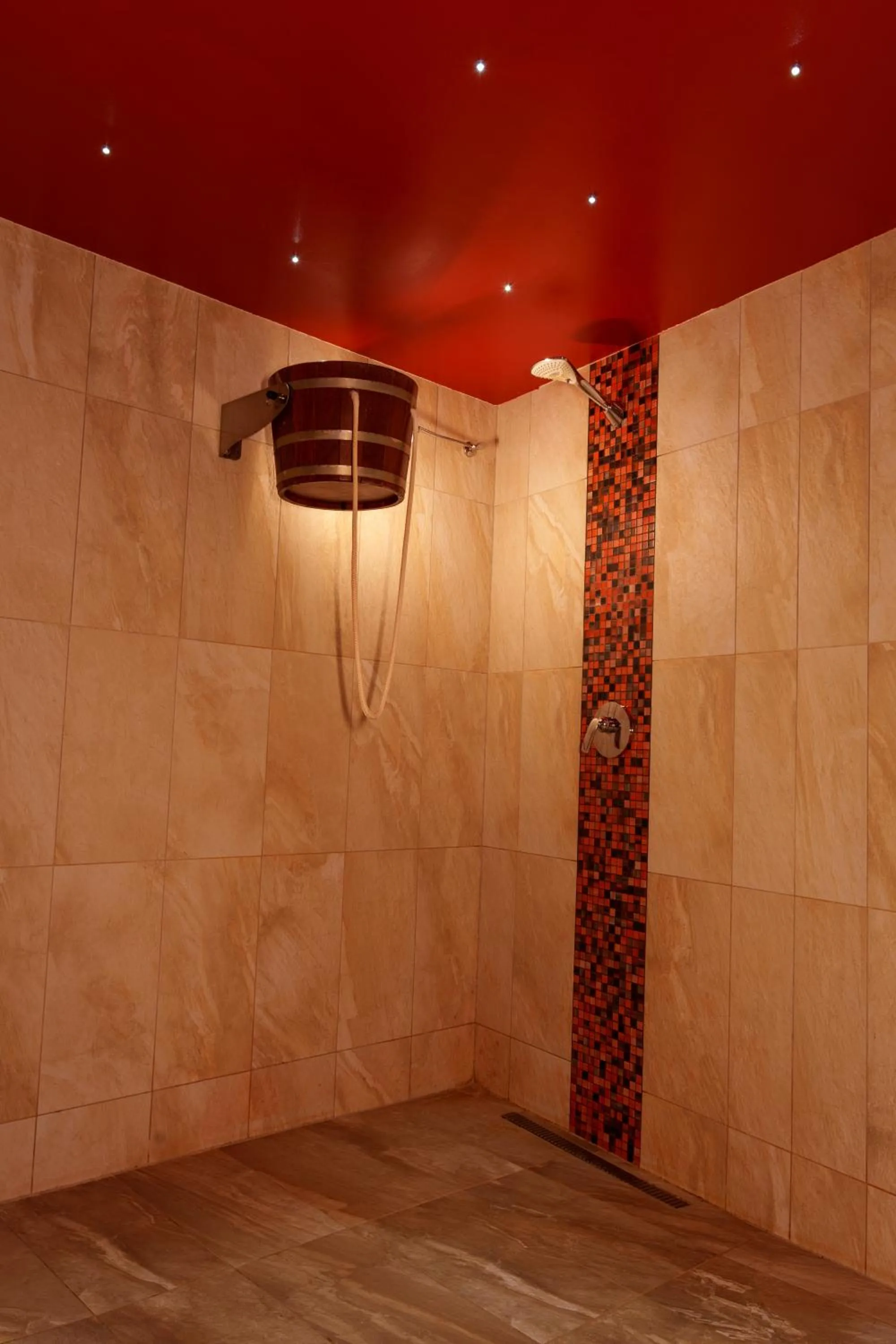 Spa and wellness centre/facilities in Hotel Künstleralm