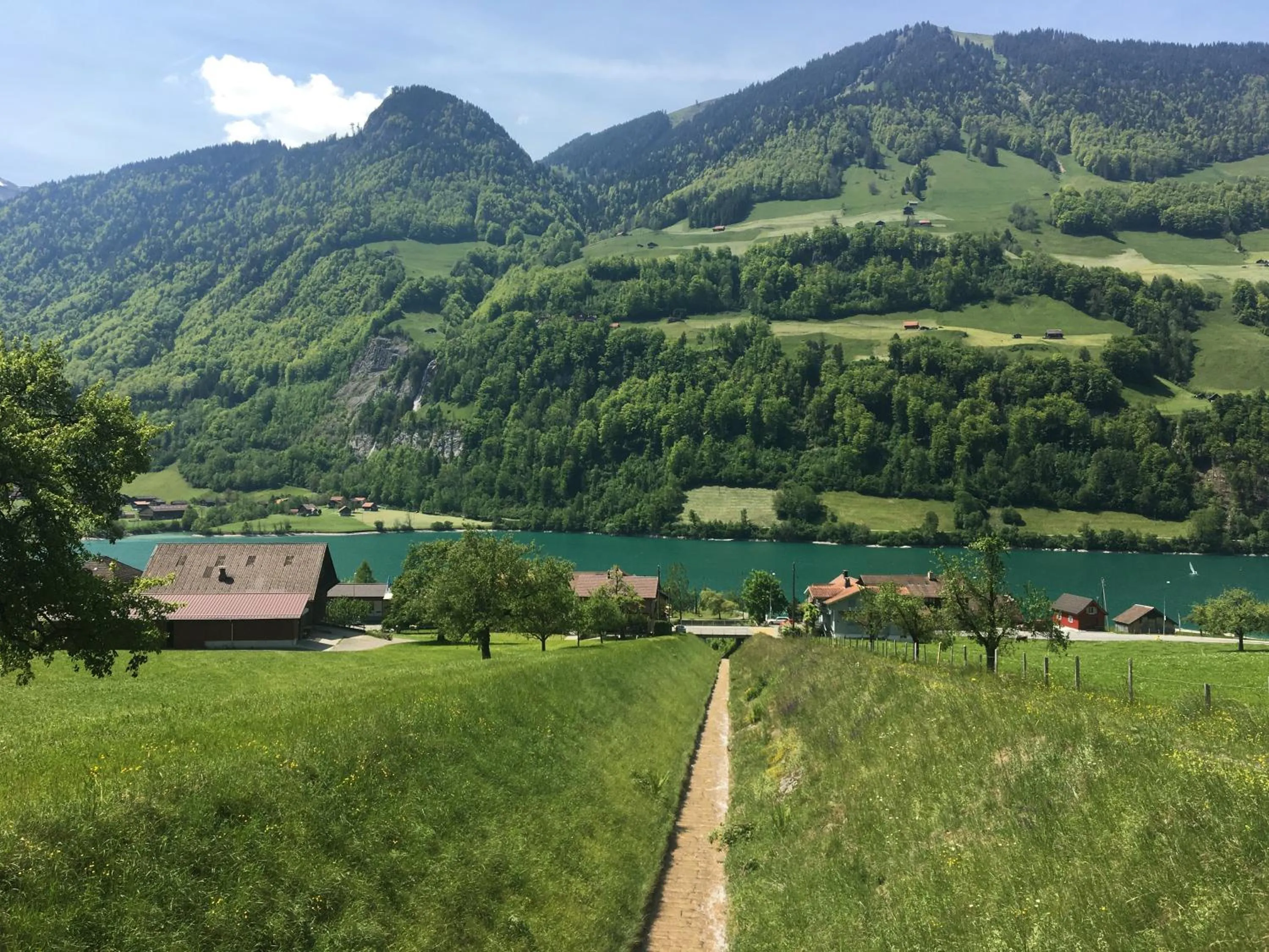 Neighbourhood in Emma's B&B - Self Check-in Hotel