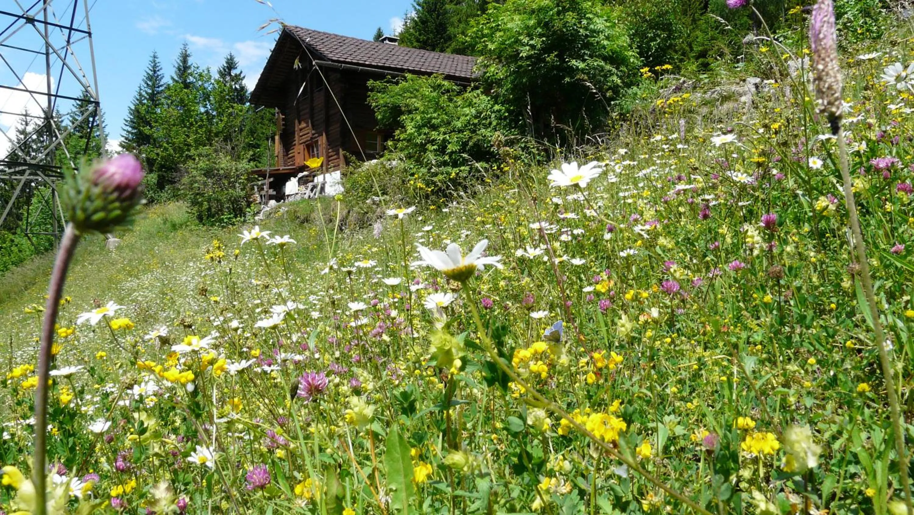 Activities in Emma's B&B - Self Check-in Hotel