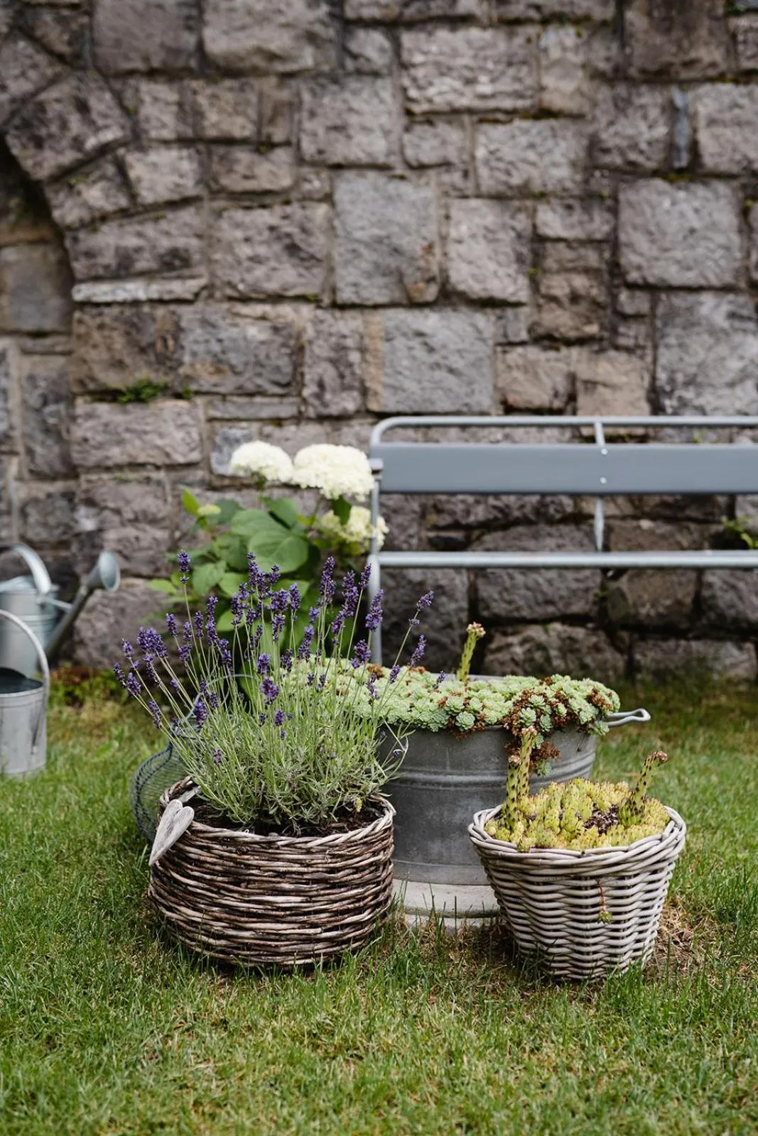 Garden in Emma's B&B - Self Check-in Hotel