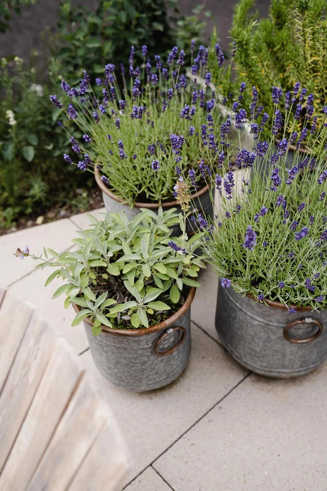 Spring in Emma's B&B - Self Check-in Hotel