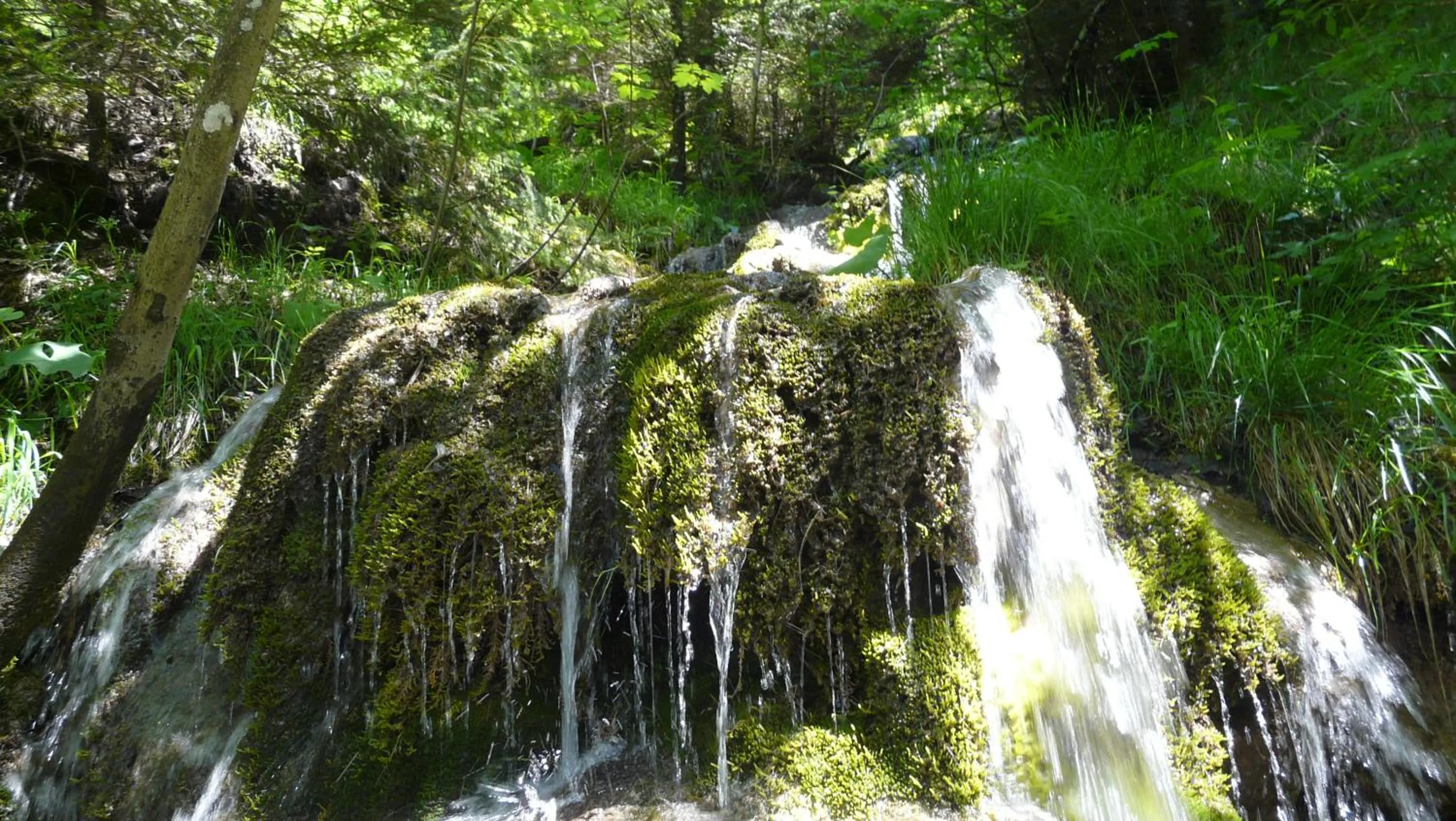 Activities in Emma's B&B - Self Check-in Hotel