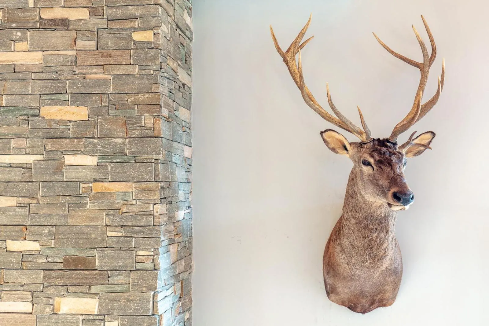 Area and facilities in Rinderberg Lodge