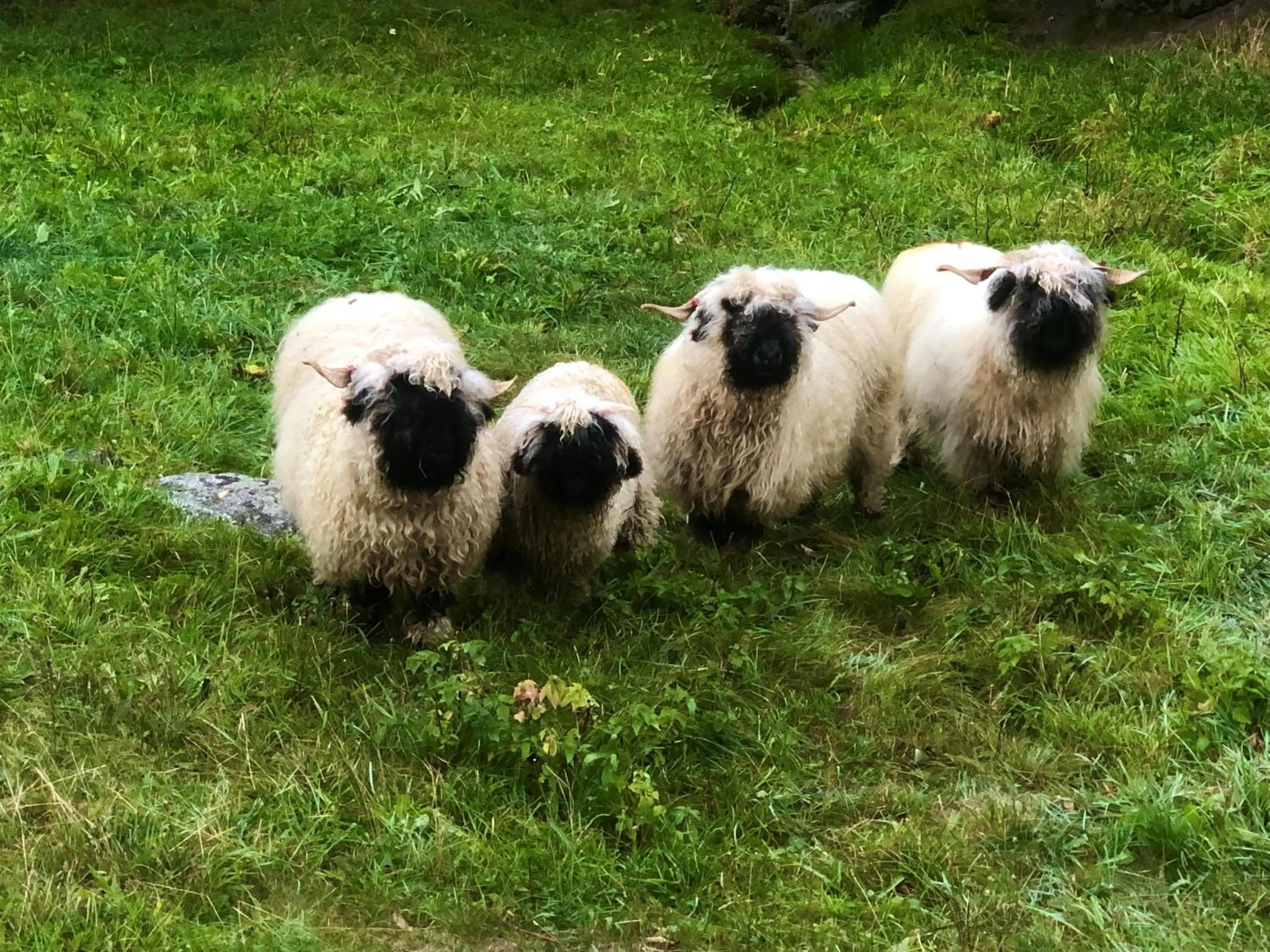 Hamilton Lodge & Spa