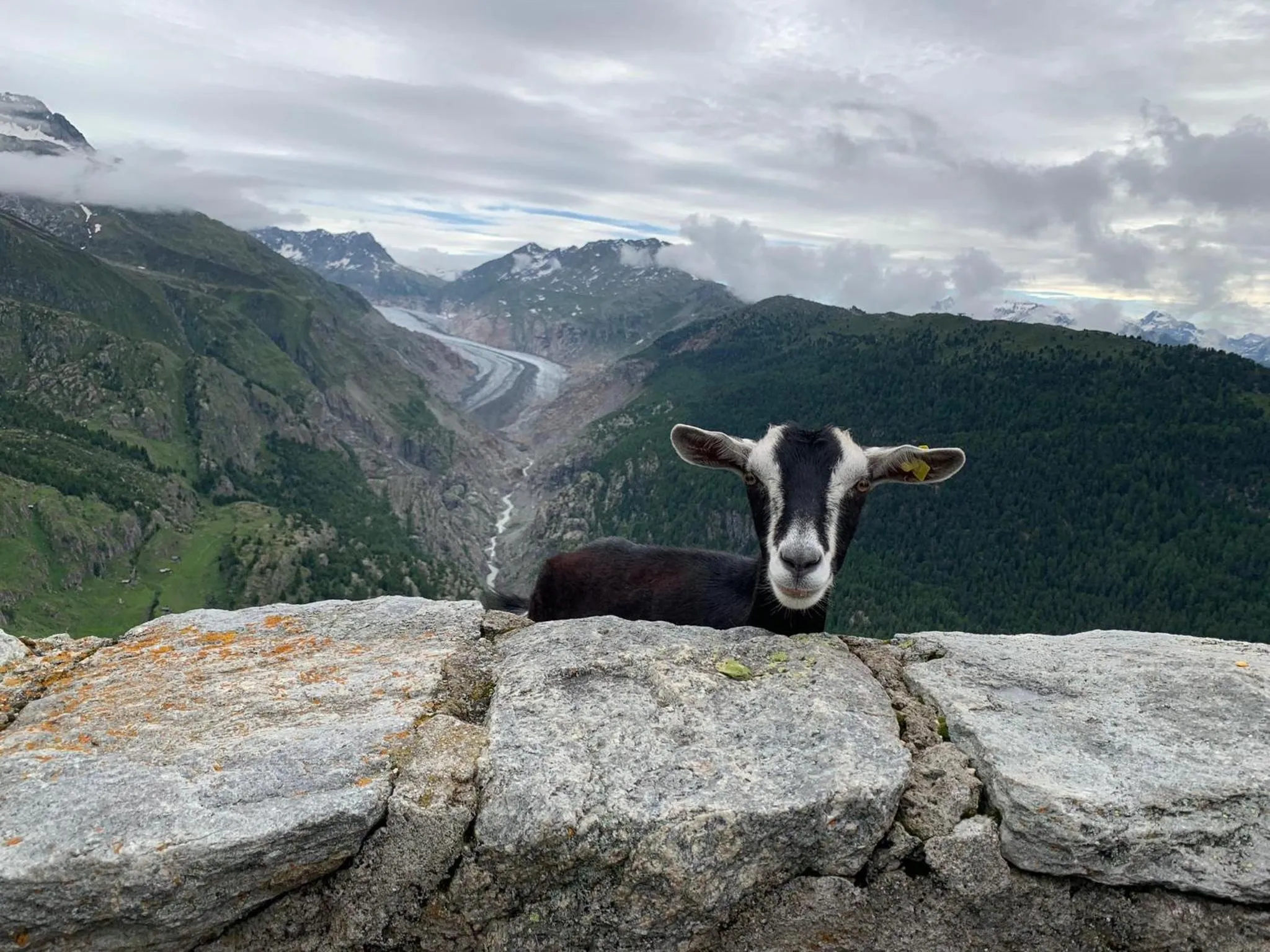 Hamilton Lodge & Spa