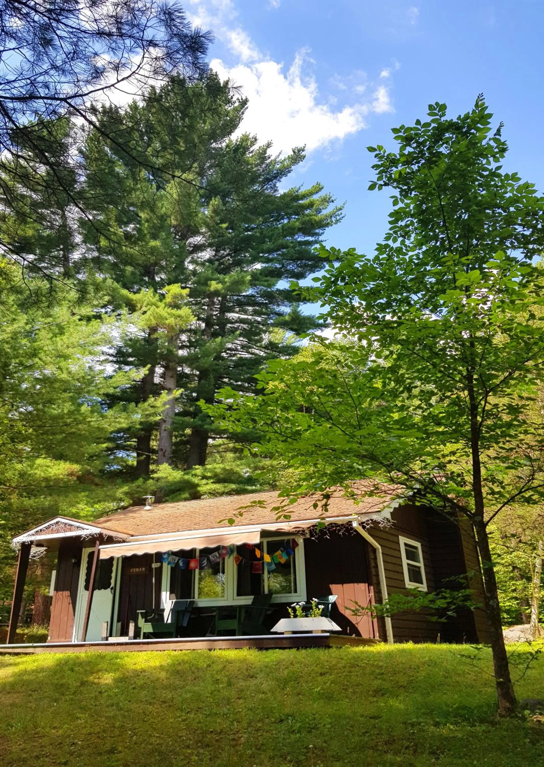 Property building in The Wilderness Inn: Chalets