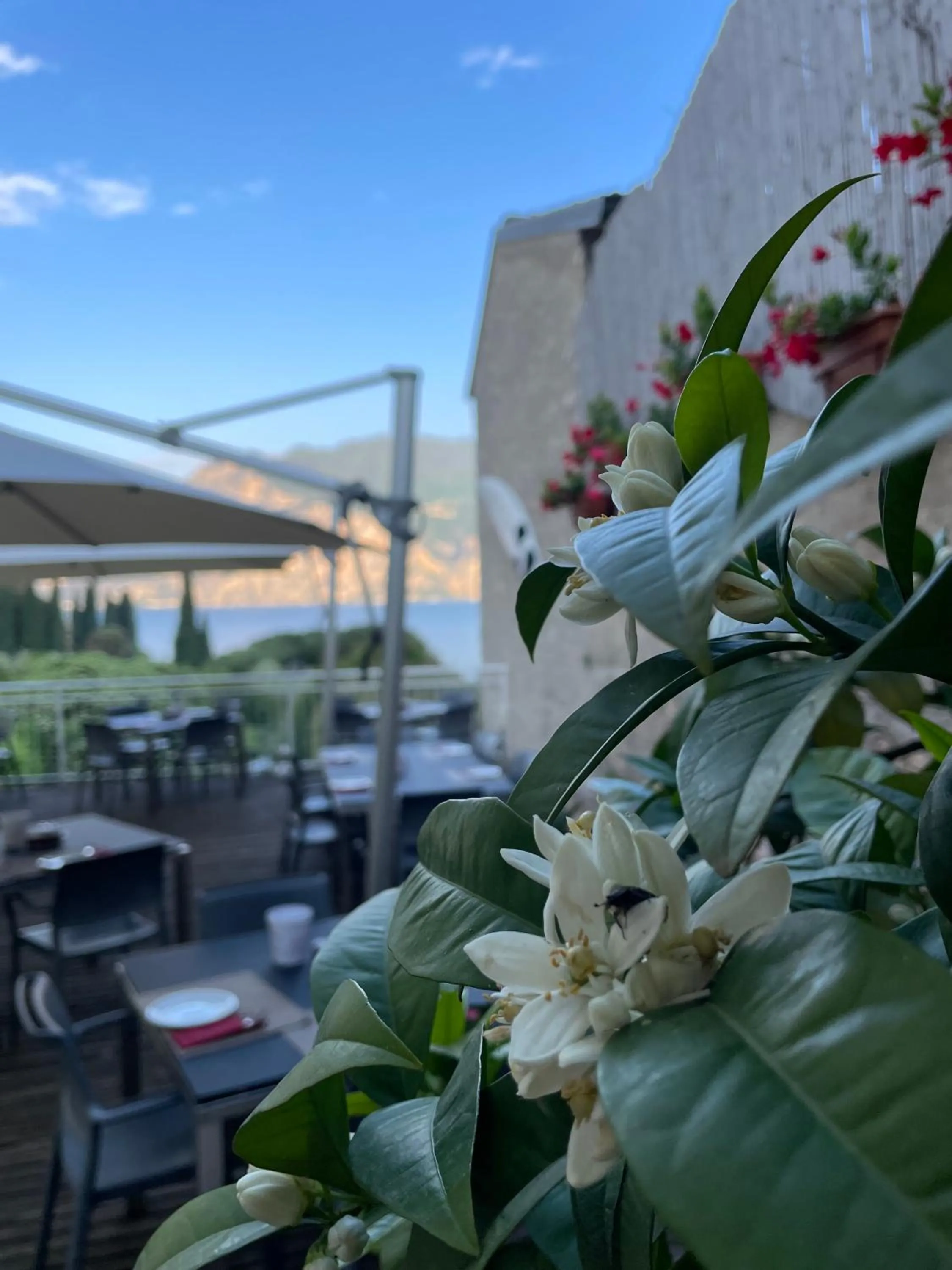 Breakfast in Hotel Roma Aparthotel