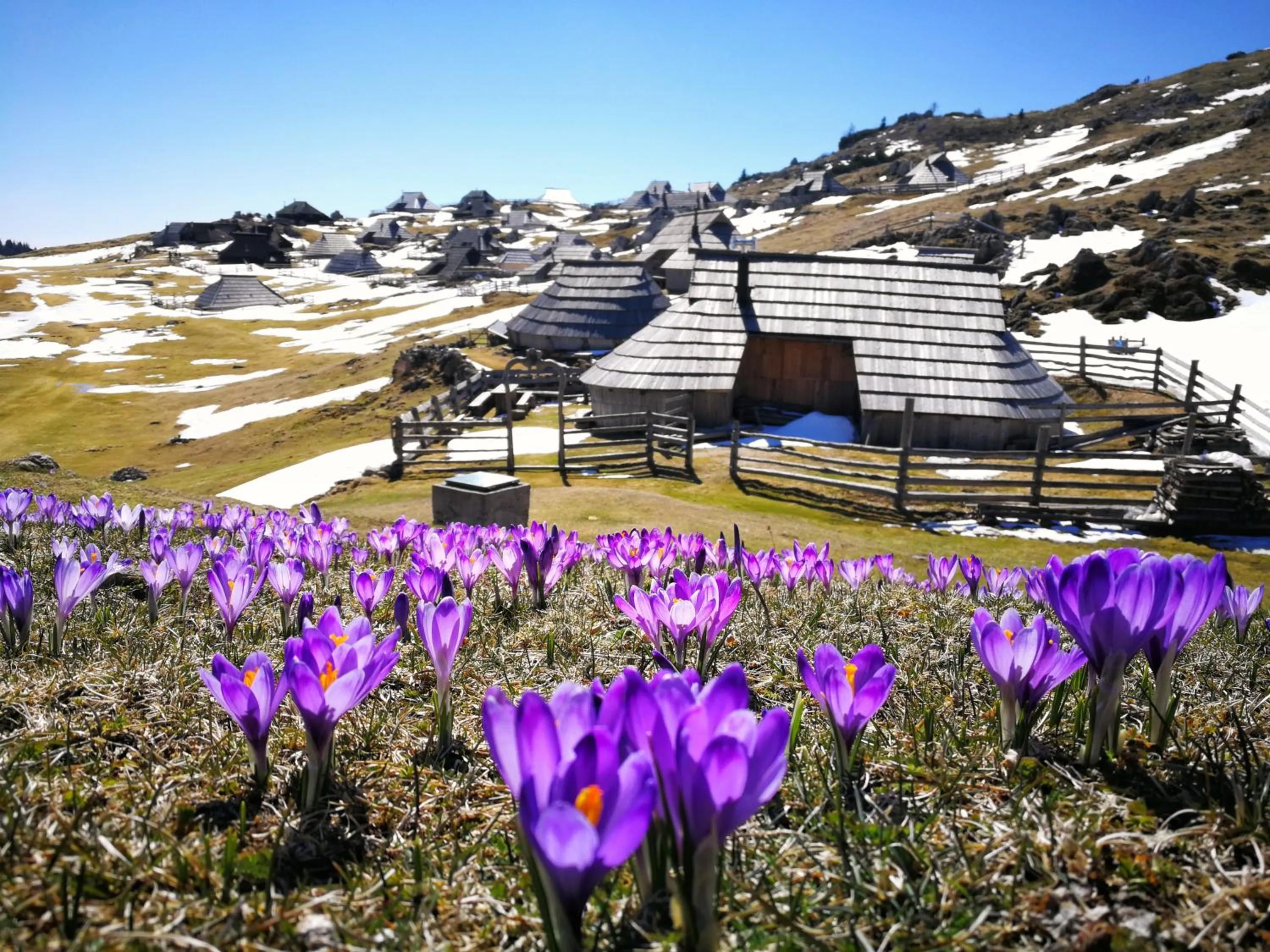 Koča Zlatorog - Velika planina