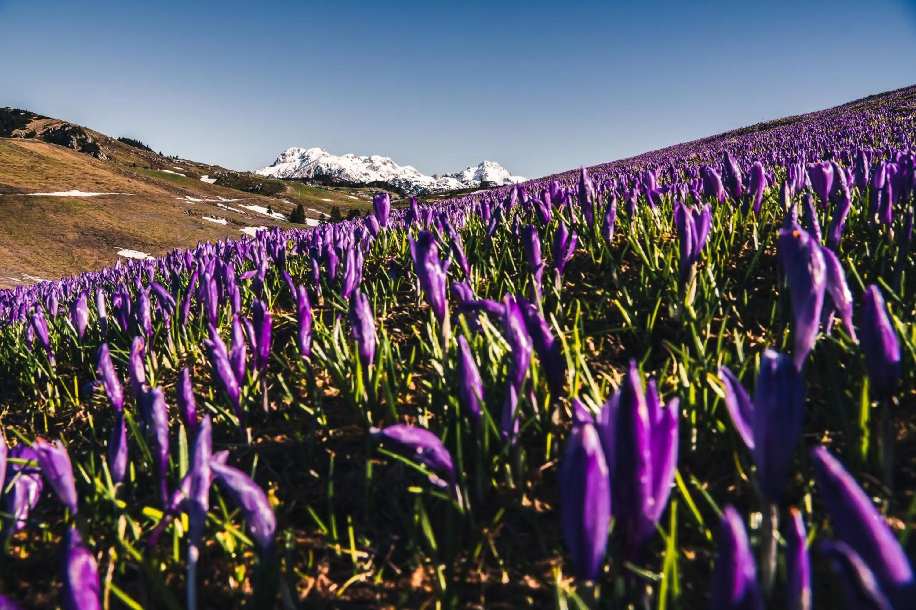 Koča Zlatorog - Velika planina