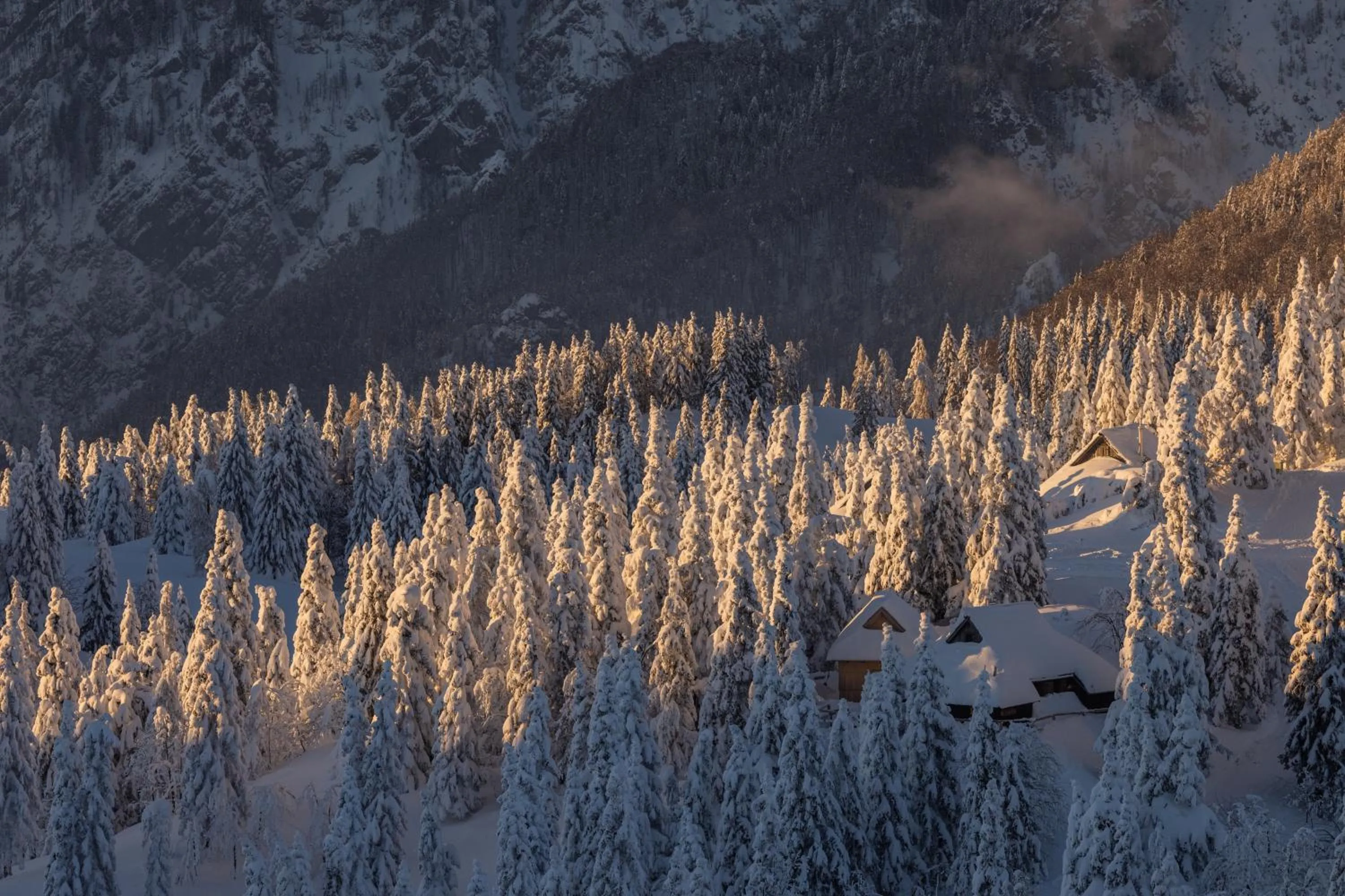 Koča Zlatorog - Velika planina