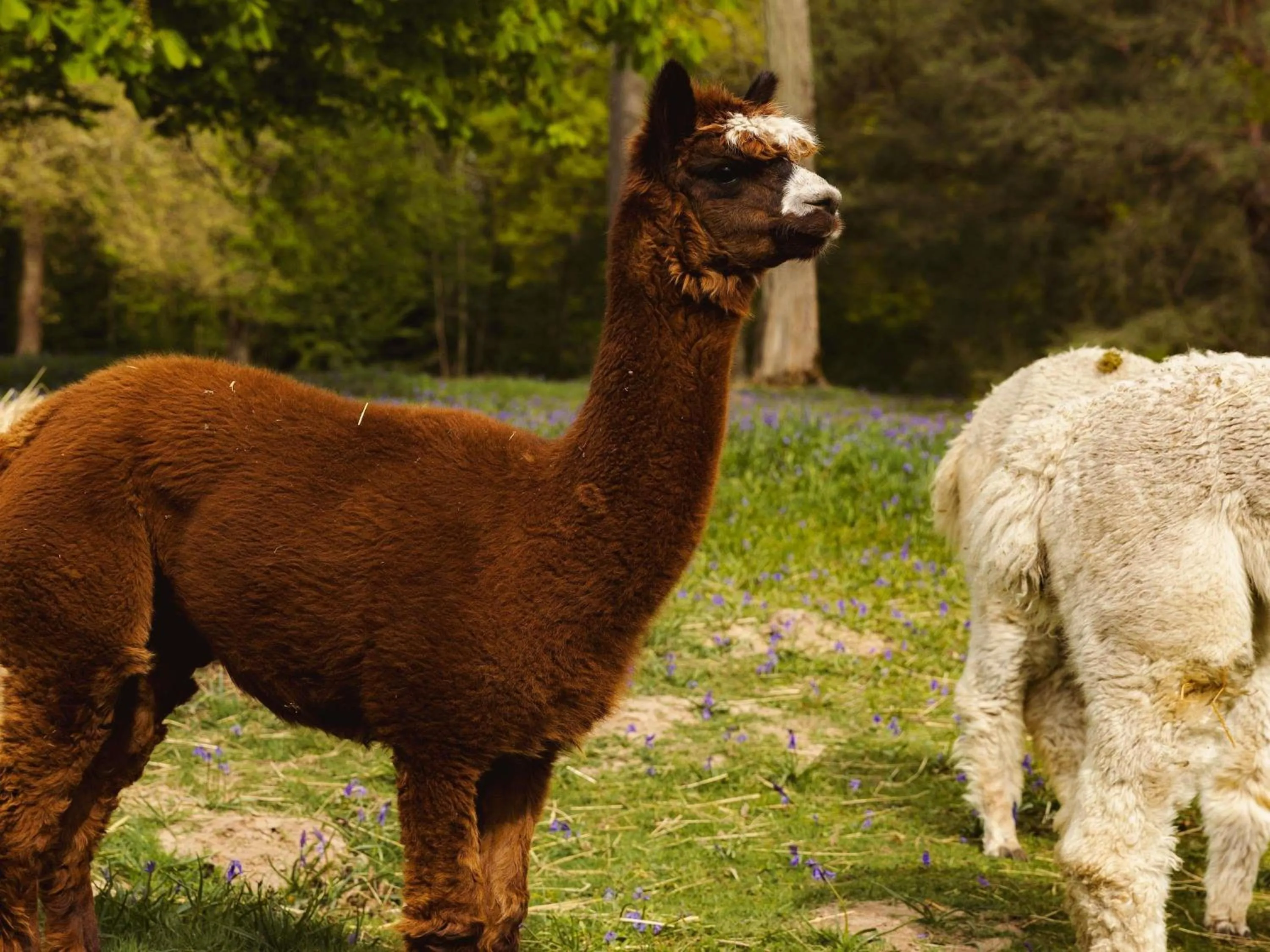 Other in Abbaye Des Vaux De Cernay