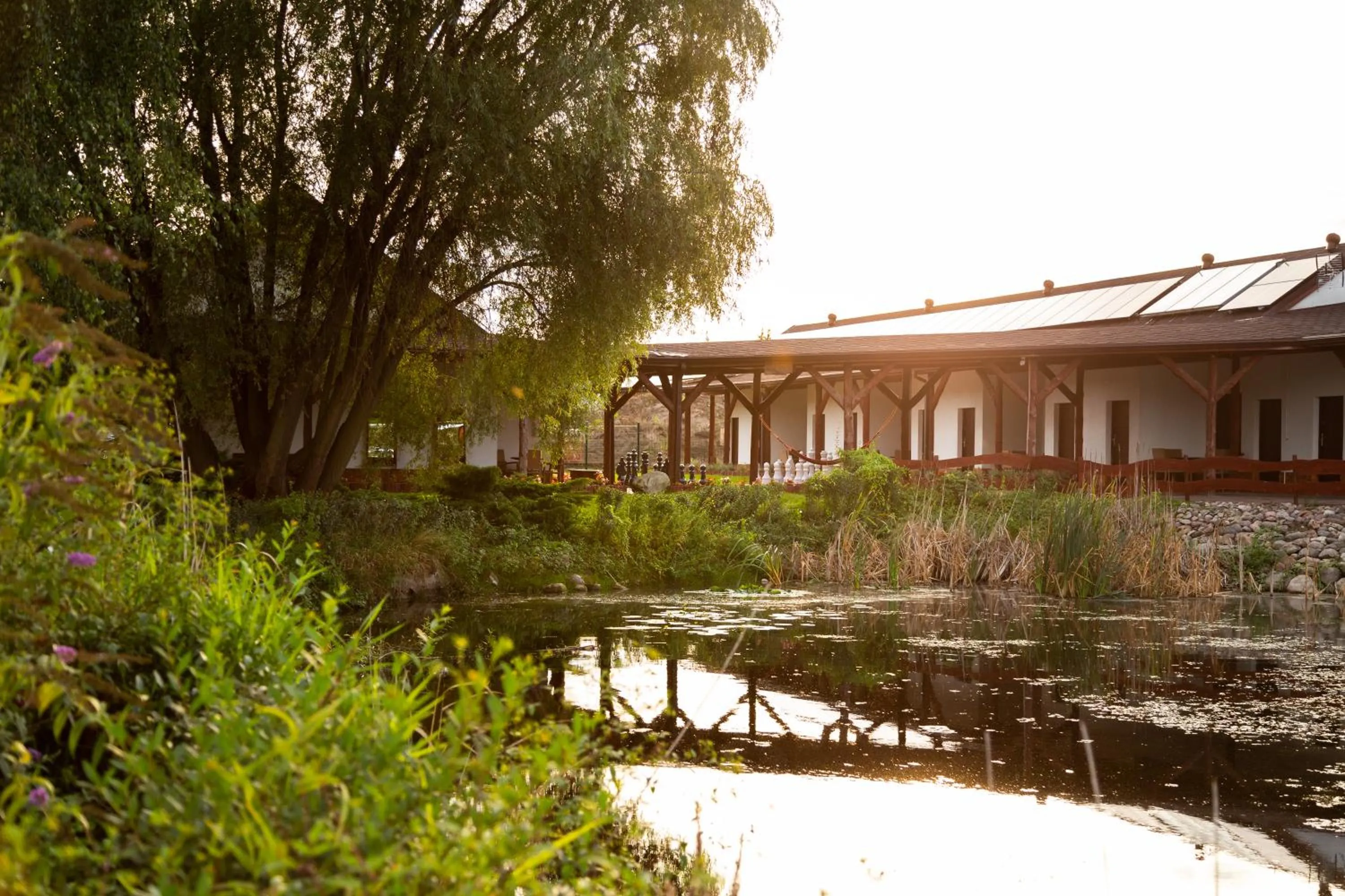Natural landscape in Hotel Nenufar