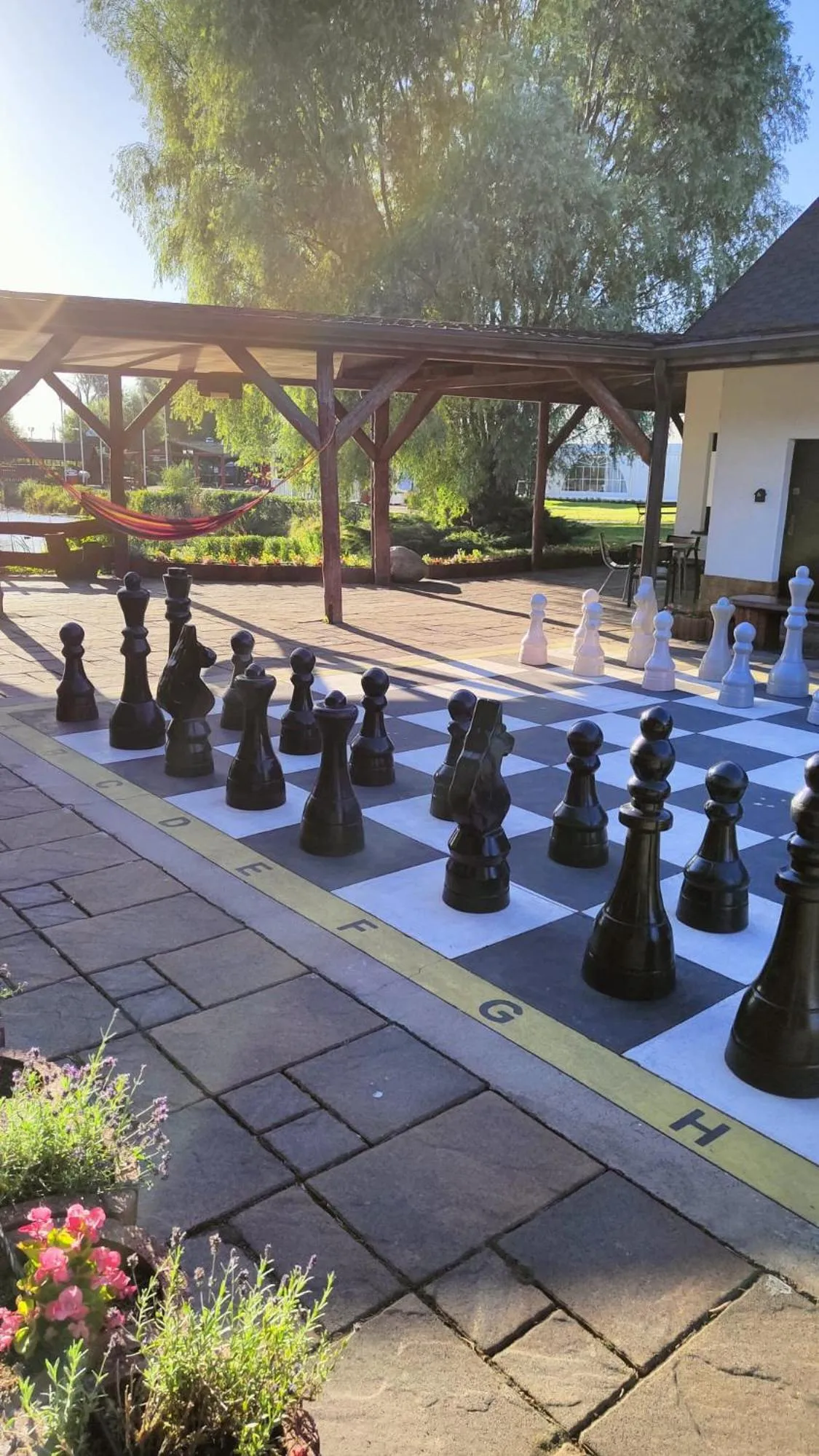 Day in Hotel Nenufar