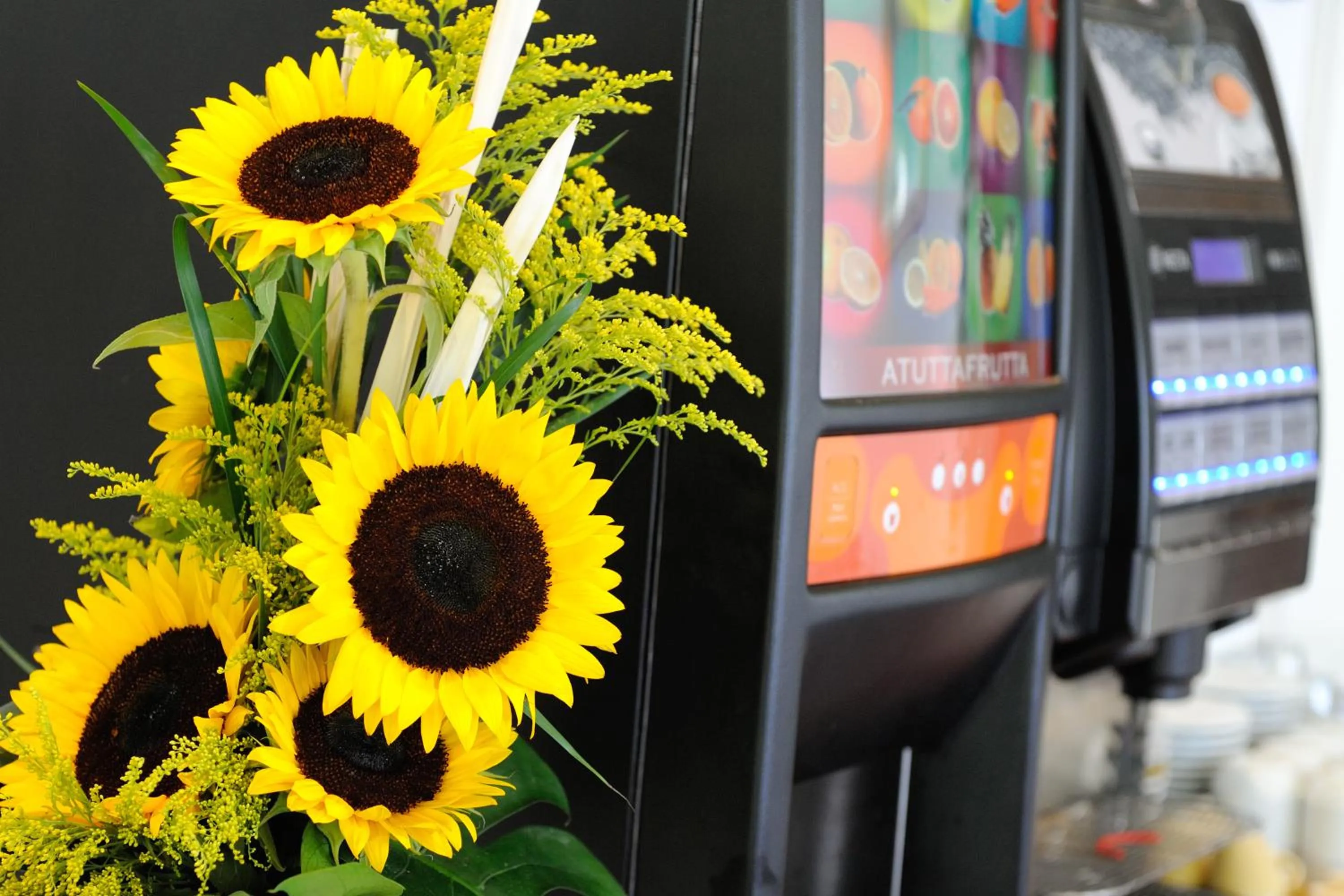 Decorative detail in Hotel Samoa