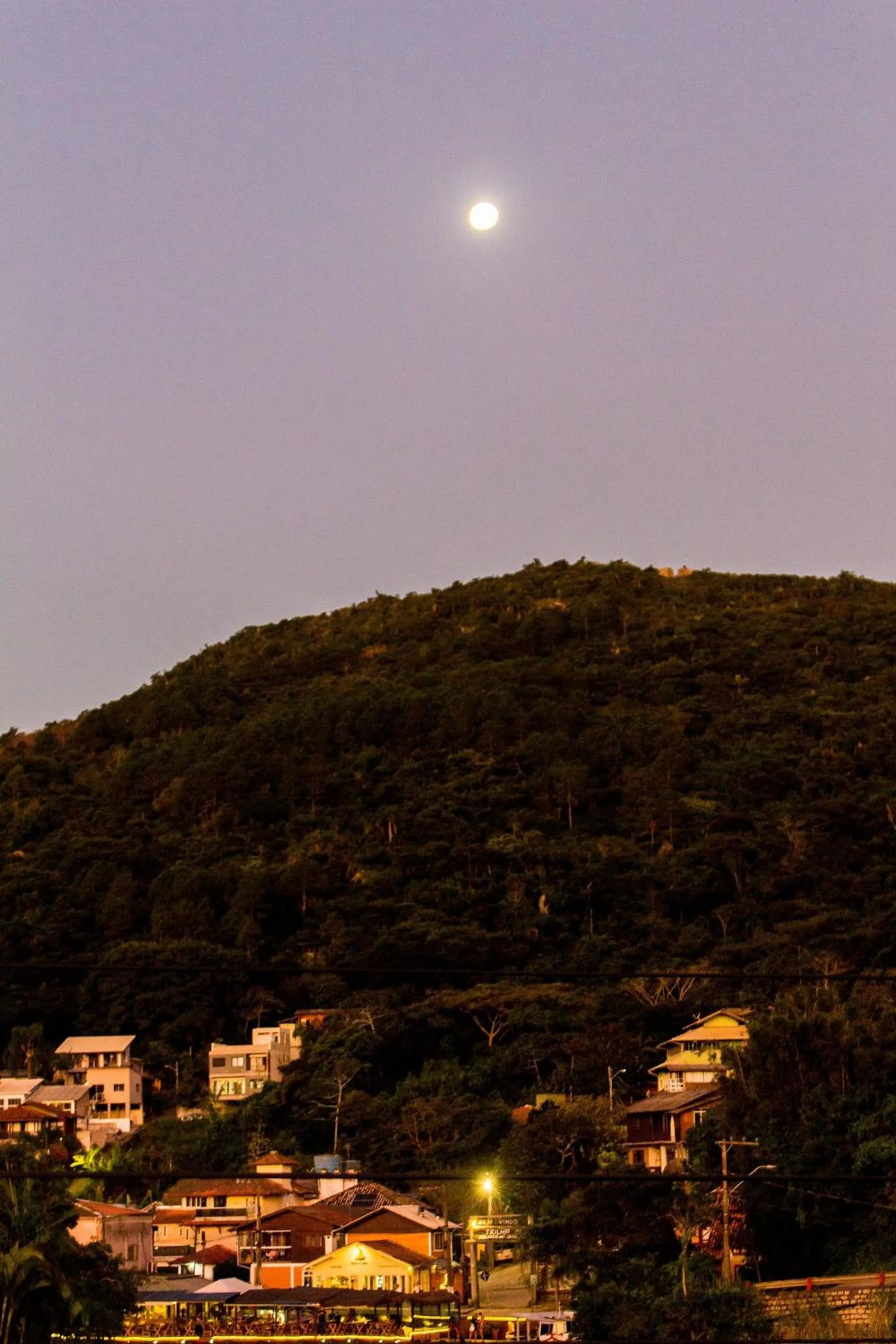 Natural landscape in Pousada Quinta da Margem