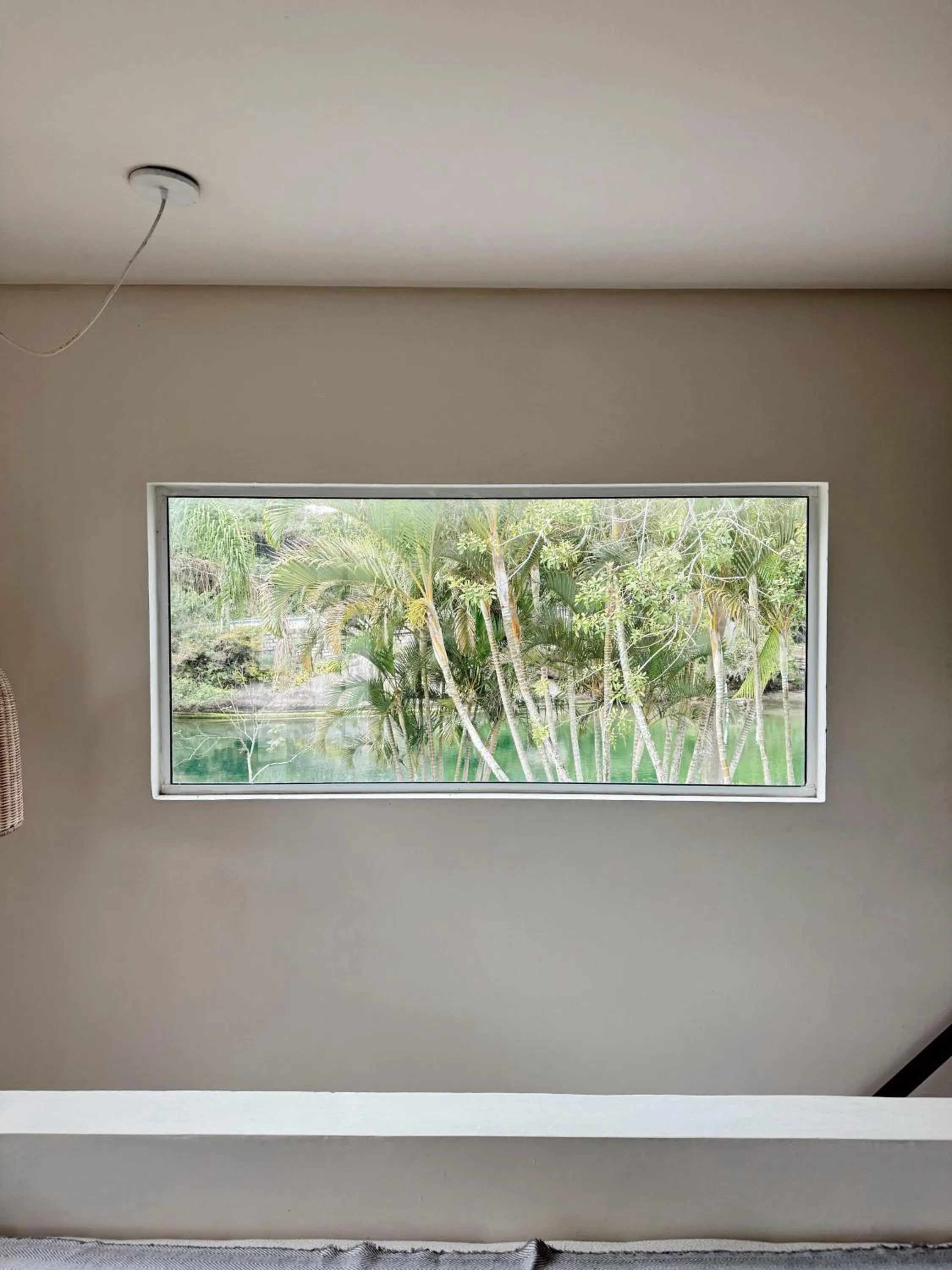 Garden in Pousada Quinta da Margem