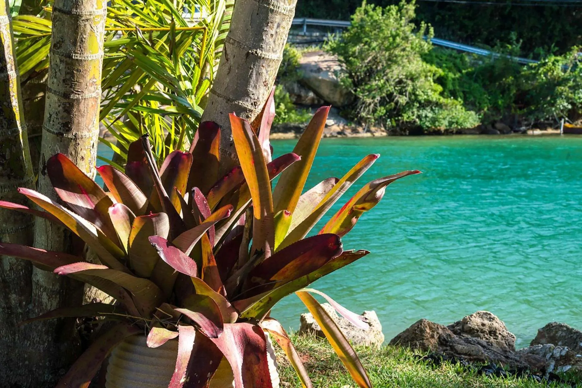 Garden in Pousada Quinta da Margem