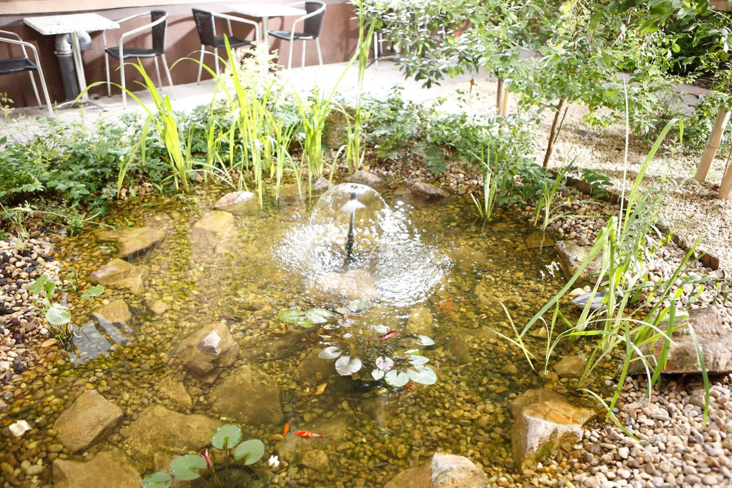 Garden in Six Inn Hotel Budapest