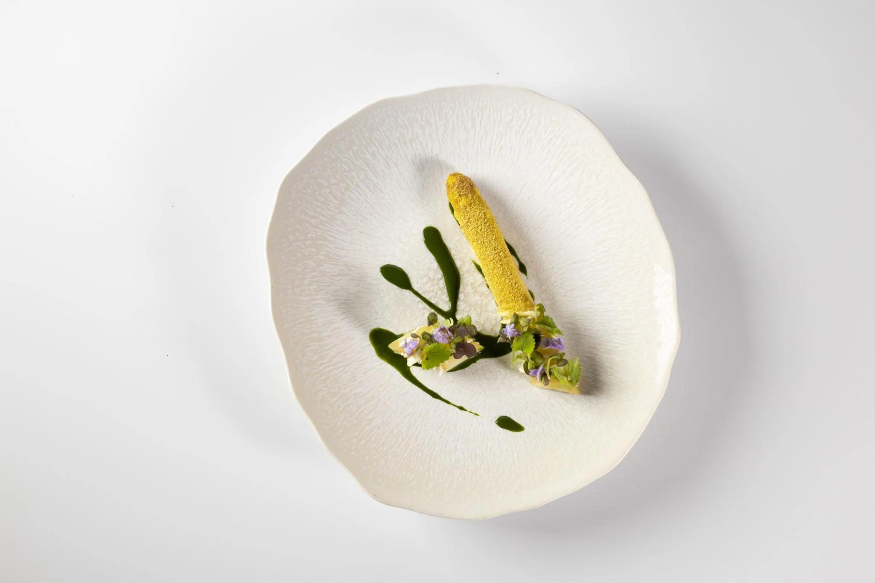 Château Les Oliviers de Salettes