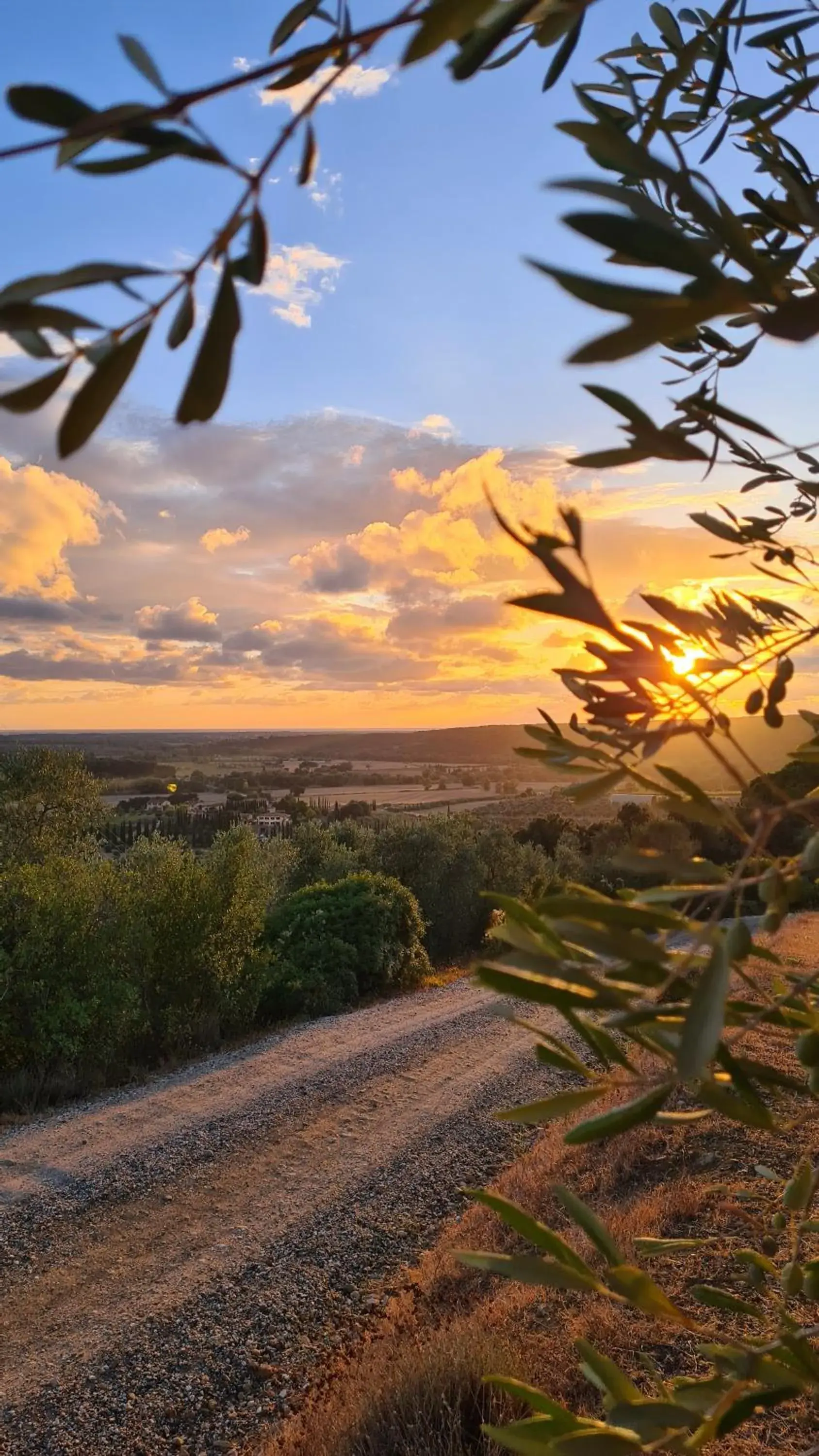 Agriturismo Le Serre Agriturismo Le Serre