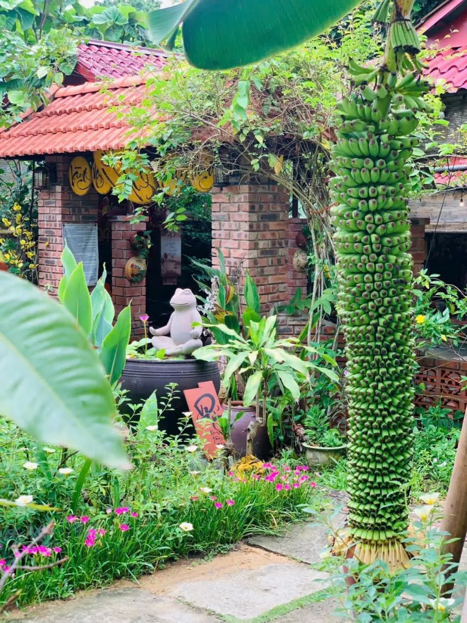 Hue Lotus Homestay