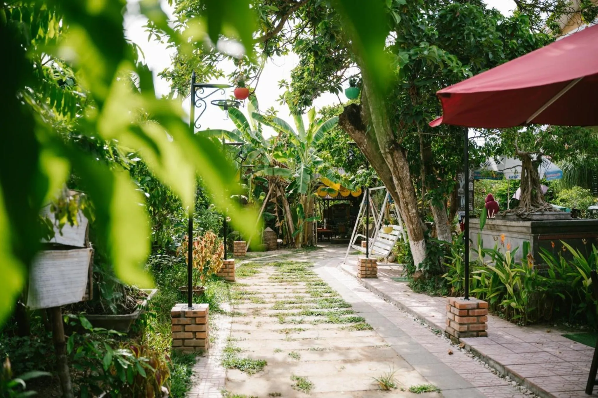 Garden in Hue Lotus Homestay