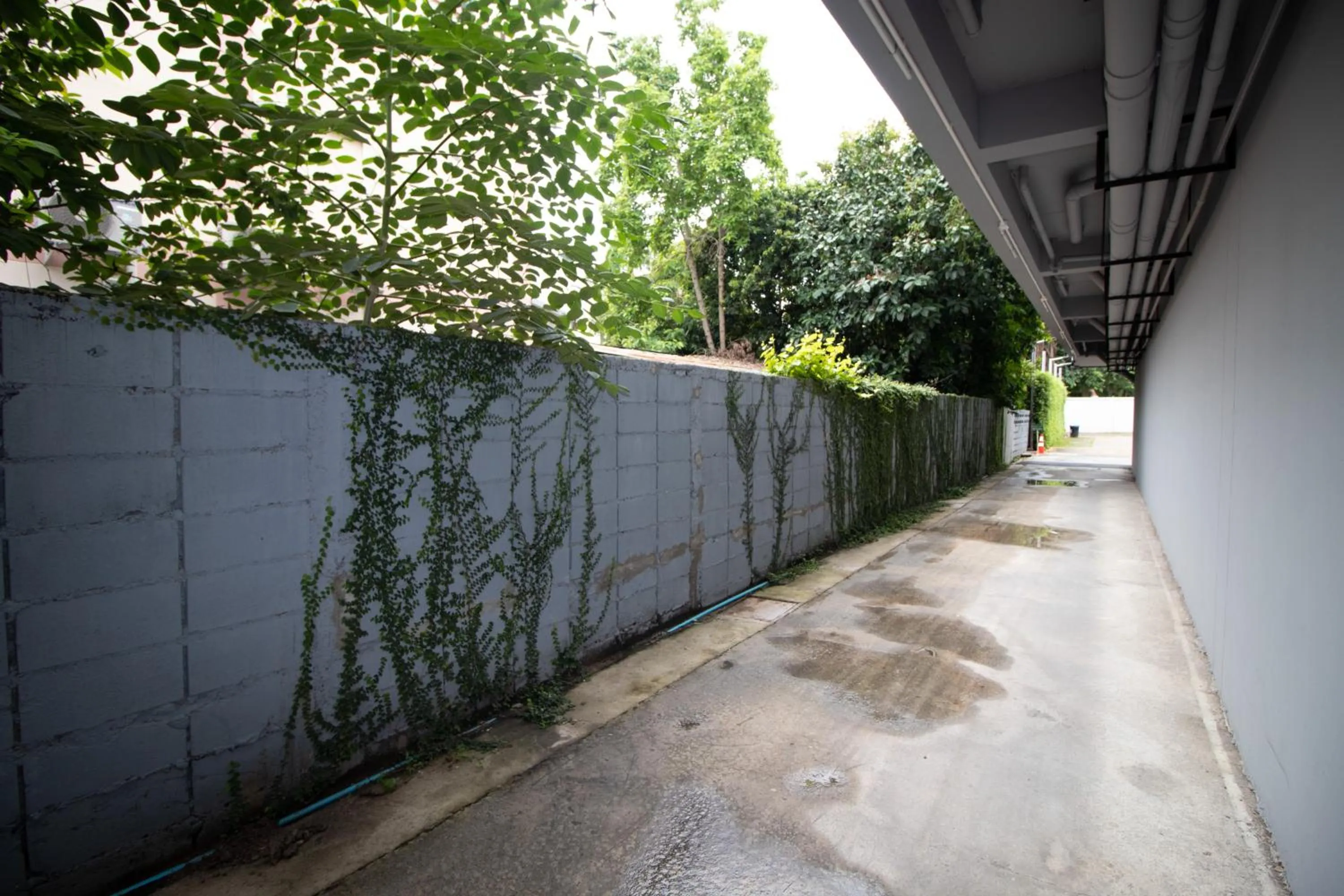 Other in The 168 Gallery Residence and Hotel