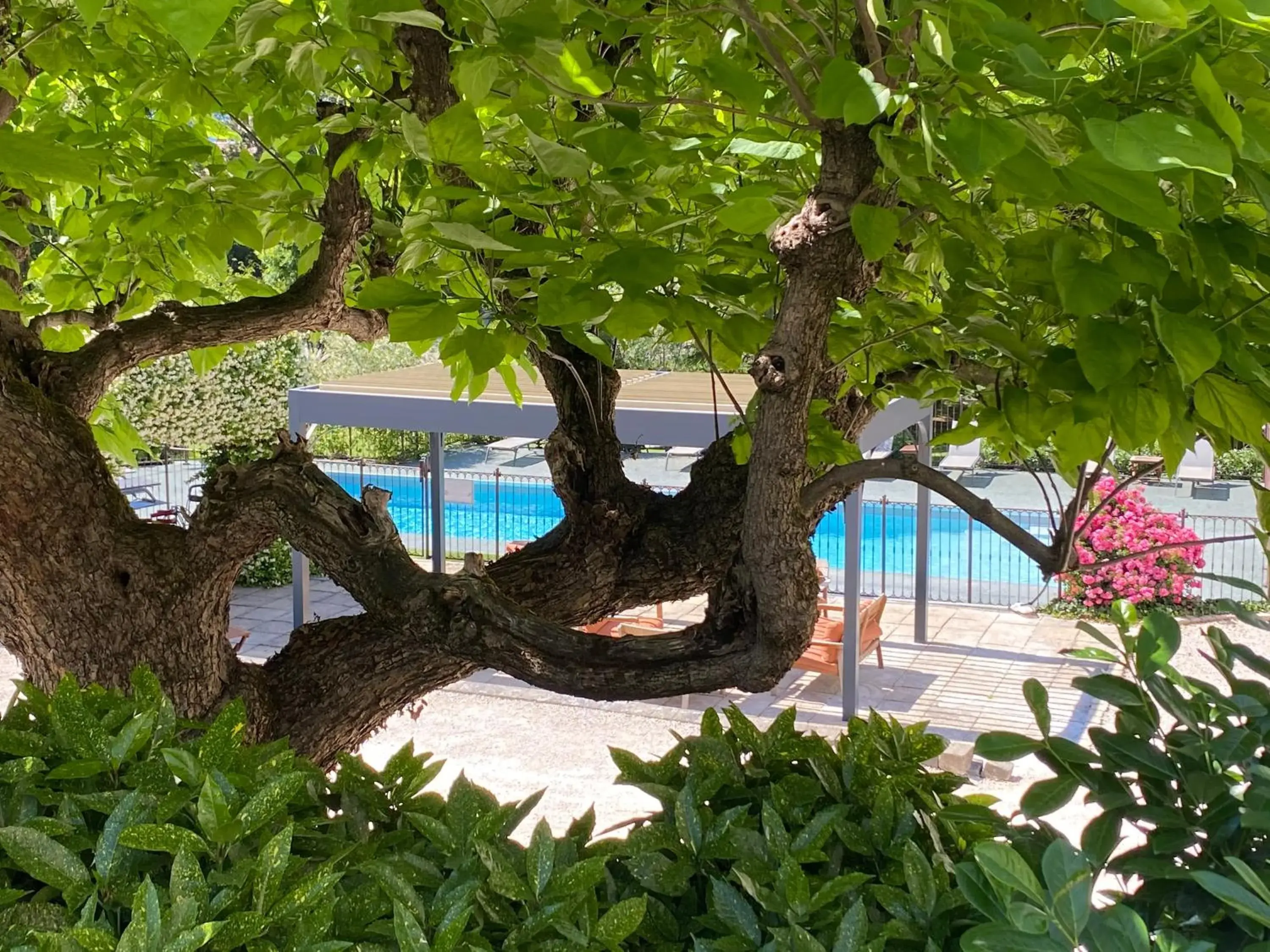 Pool view in Château Hôtel, Restaurant & Spa De La Commanderie Pool view in Château Hôtel, Restaurant & Spa De La Commanderie