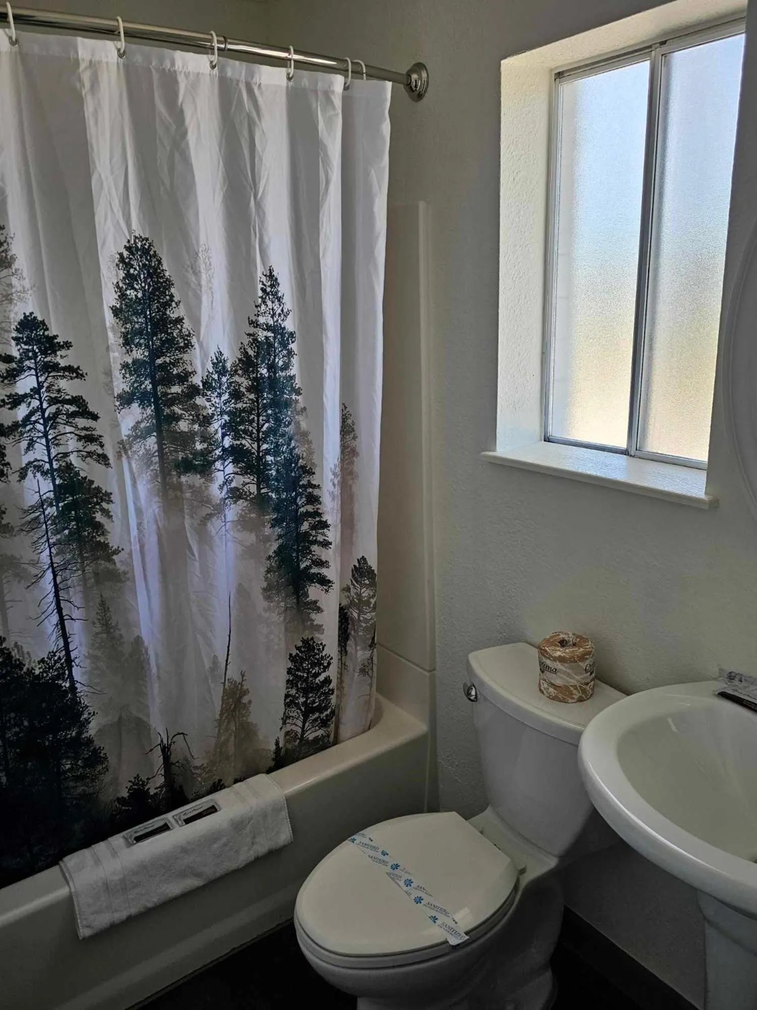 Toilet in El Rancho Motel