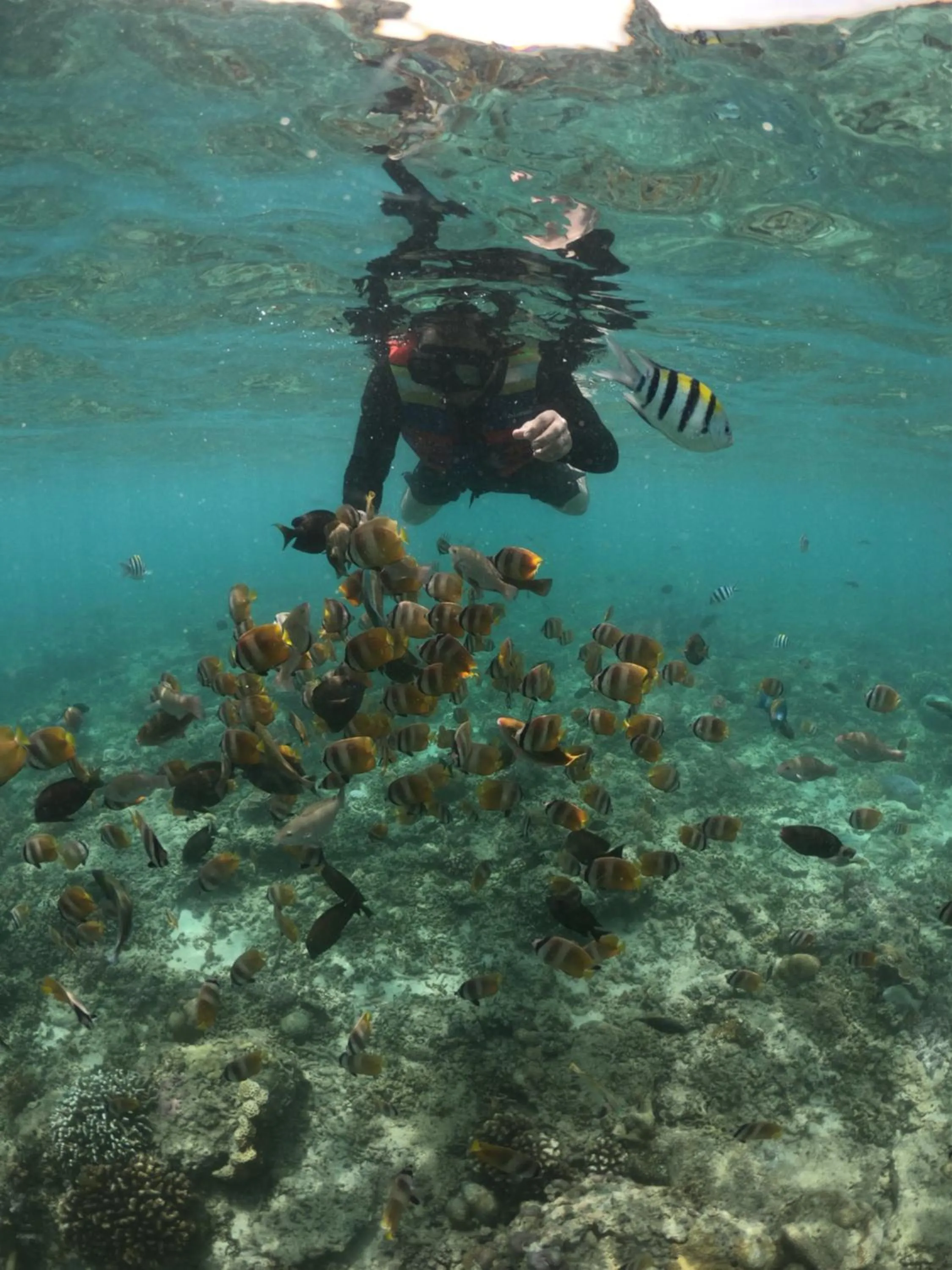 Snorkeling in The Kayana Beach Lombok